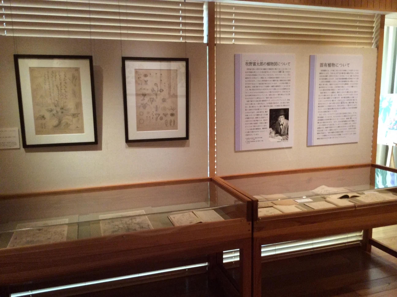 Dr. Makino's display, including original illustrations, information and publications. All photos courtesy Akiko Enokido.