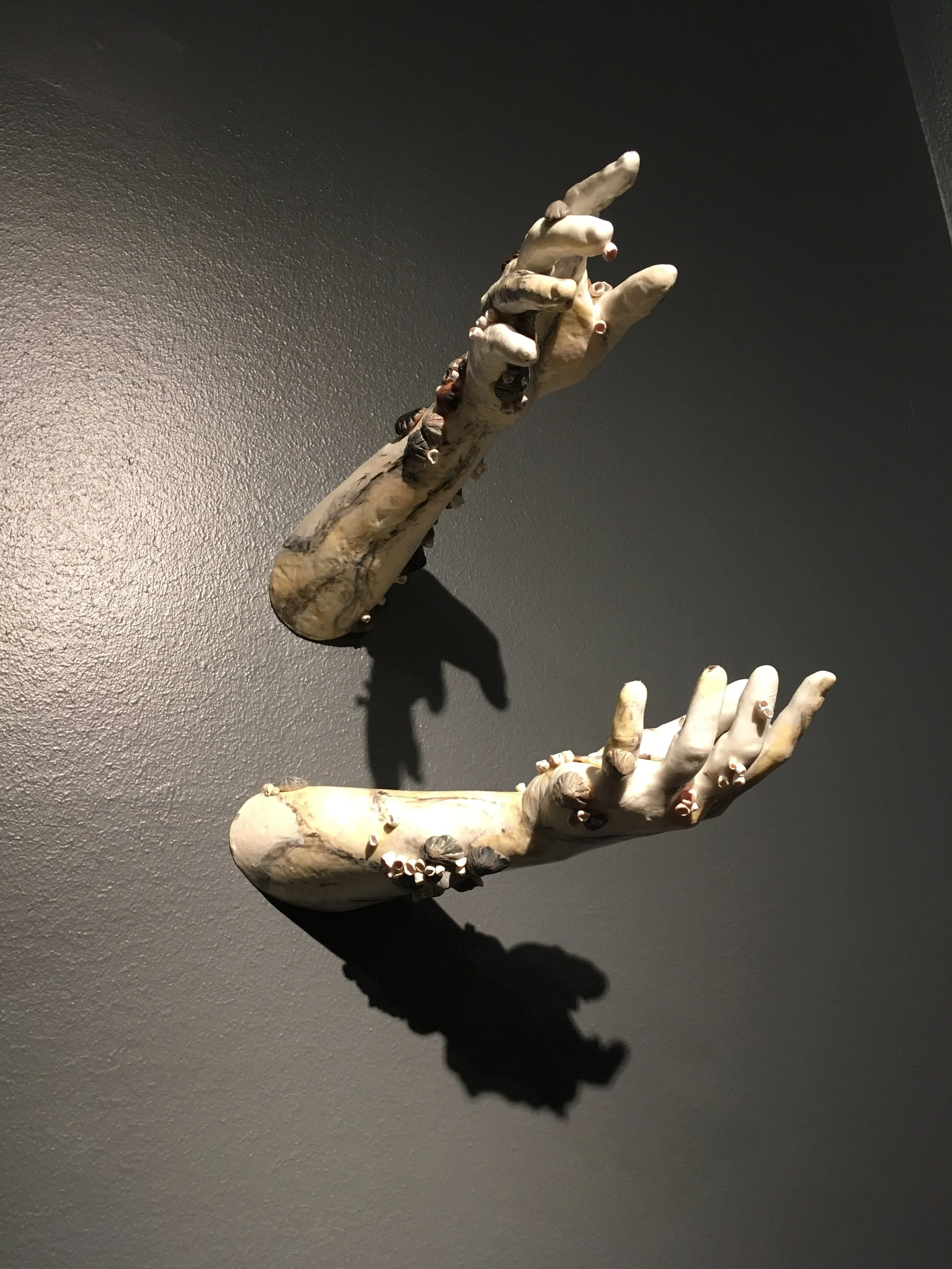  A resin cast of my arms painted with acrylic. Covered in mollusks made of polymer clay and painted with acrylic.&nbsp; 