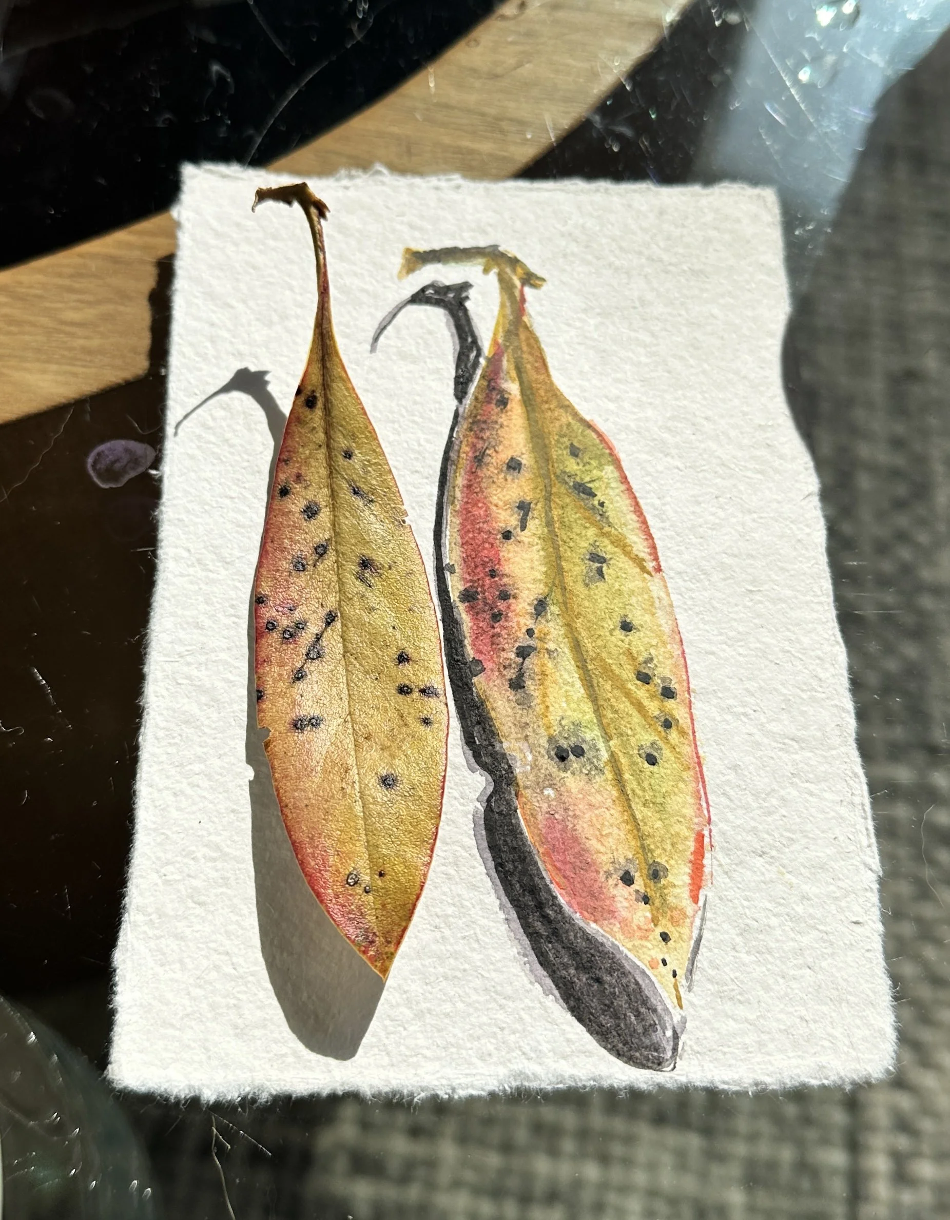 watercolorleafy.jpg