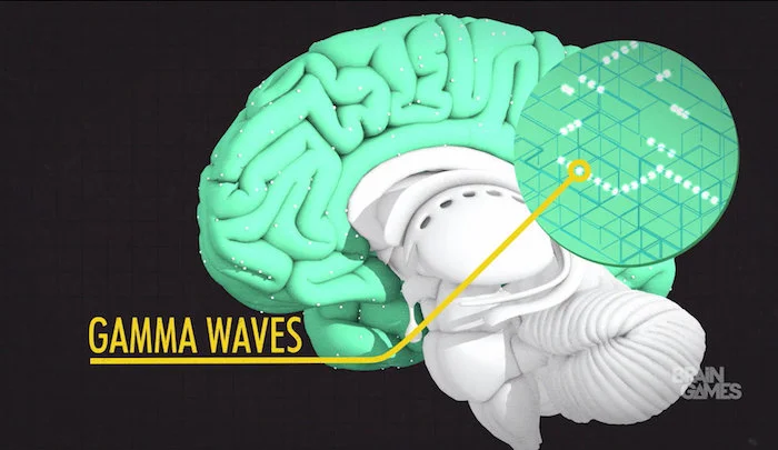 BRAIN GAMES</br><em>Seasons 4+5</em>|motion