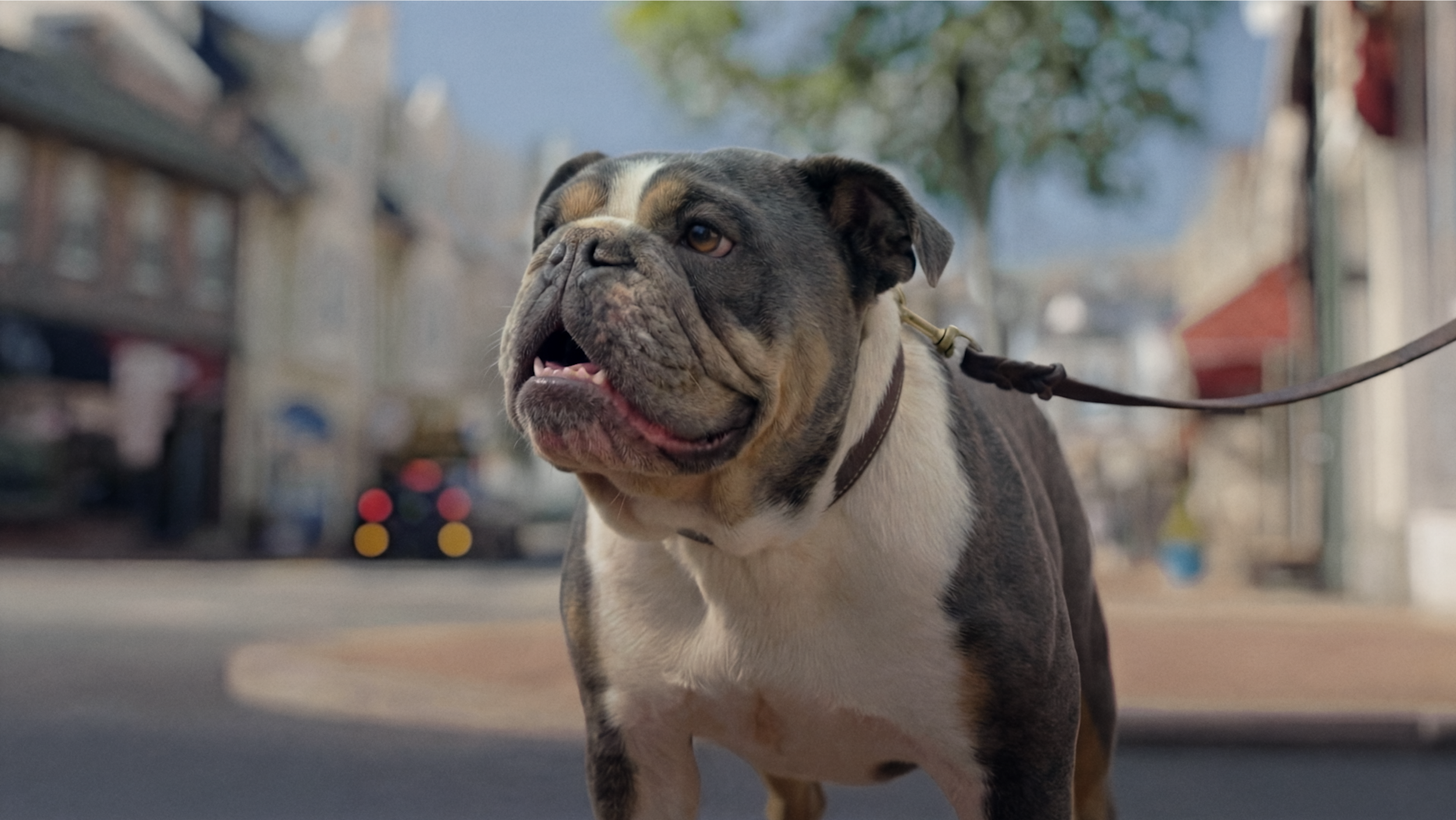 New Jersey Lottery</br><em>Jersey Dog</em>