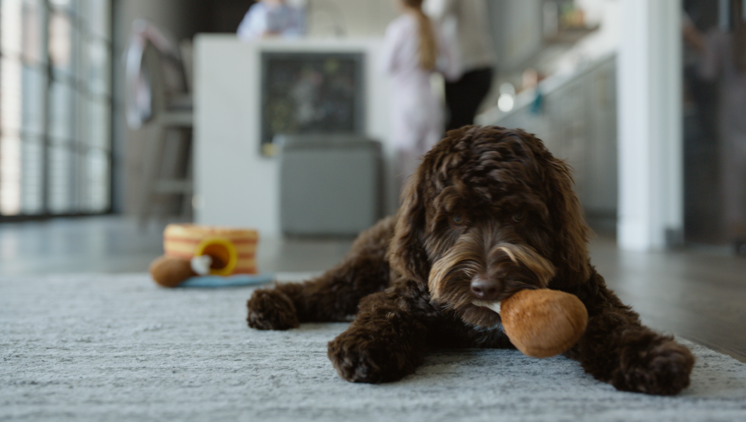 Chewy</br><em>Chow Time</em>