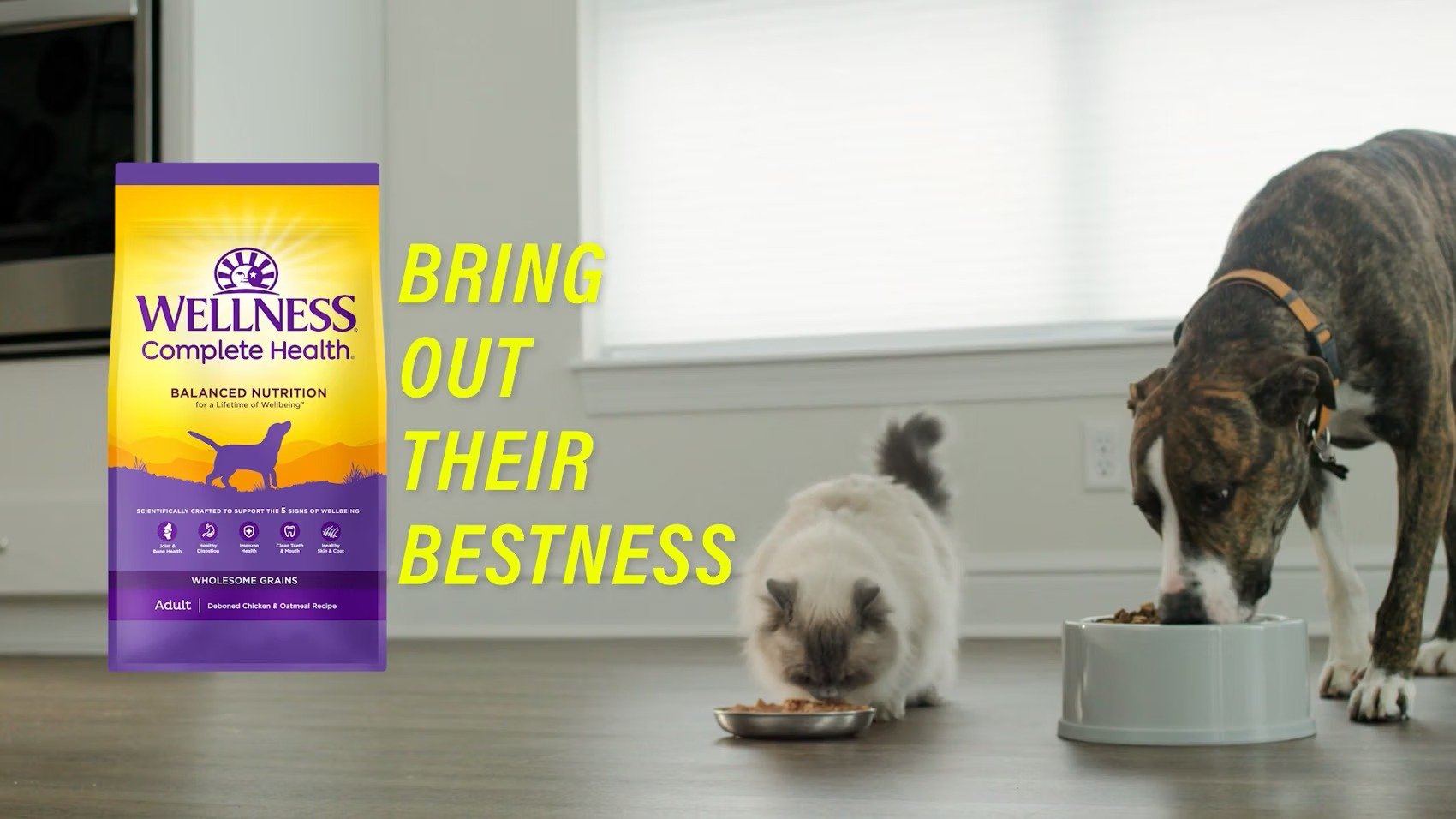 Wellness Core - Pinned Down