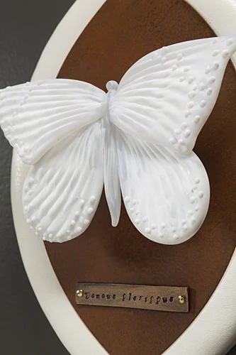 kelly_odell_glass_endangered_animal_monarch_butterfly_EA-CM9_D.jpg