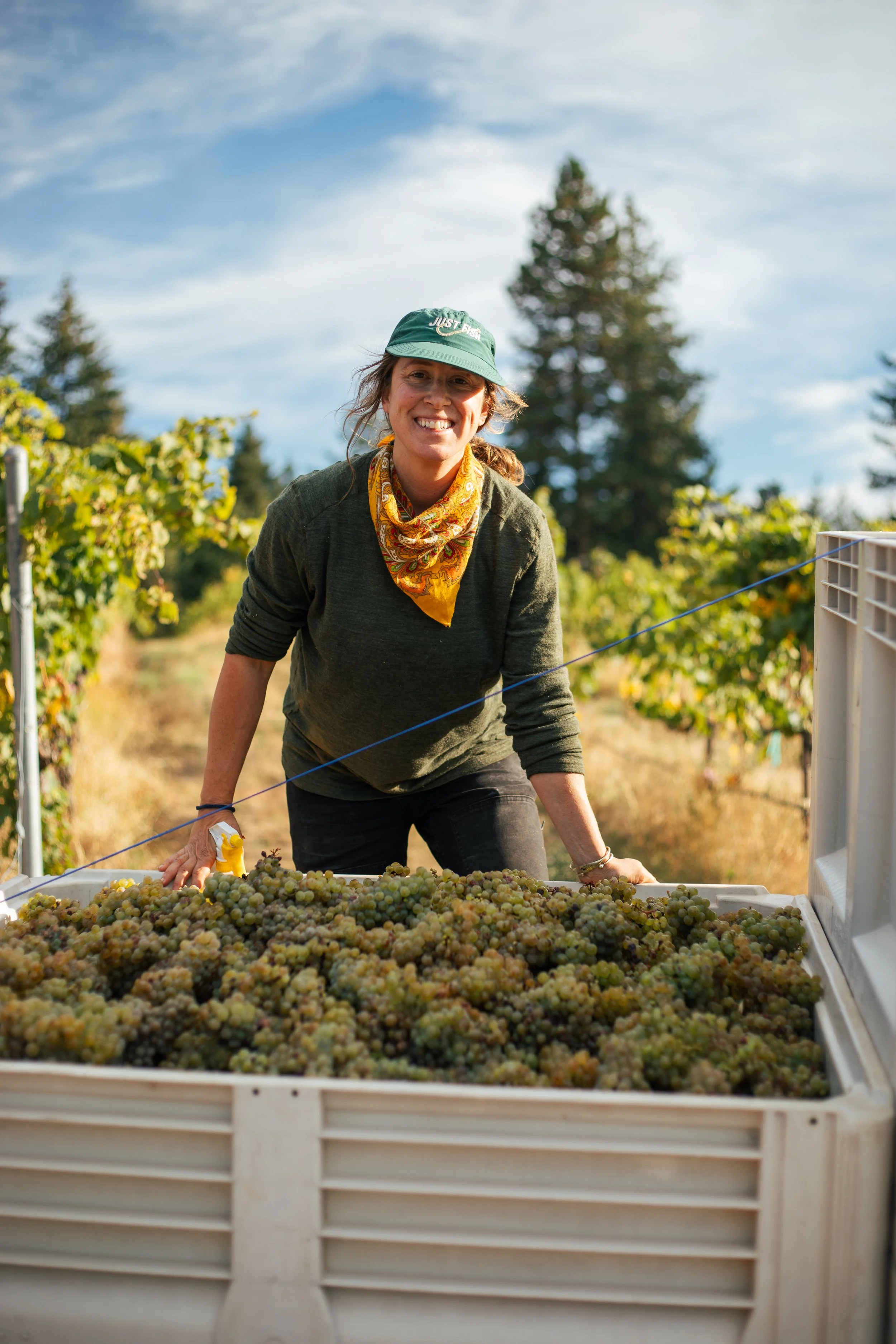 LUSHINGTON_Harvest 2026-35.jpg