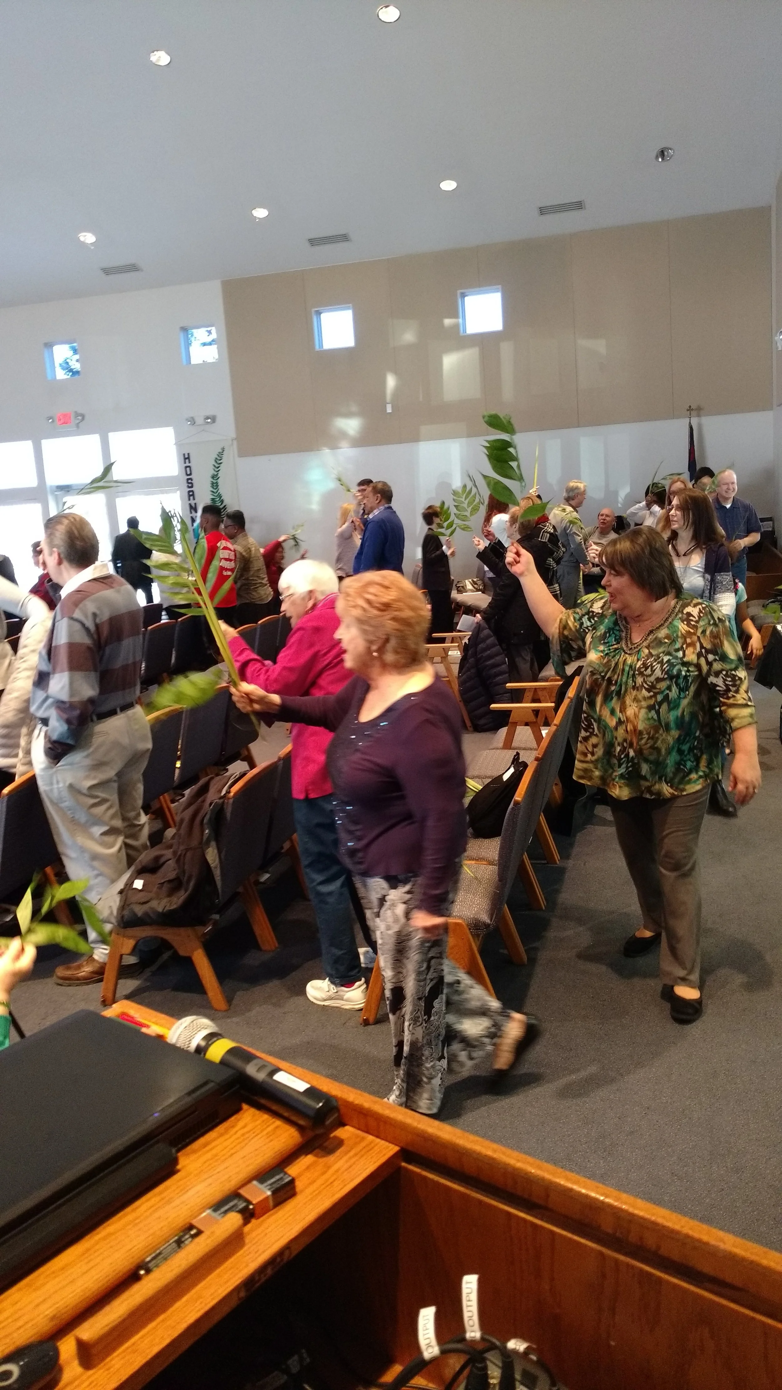 palm sunday pic 2.jpg