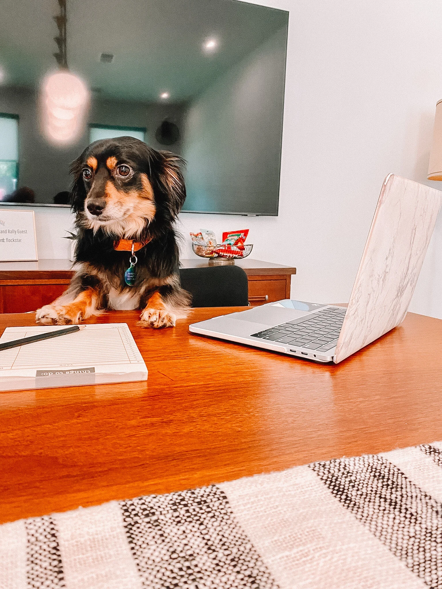 Position Closed: Communications Strategist at Flock and Rally