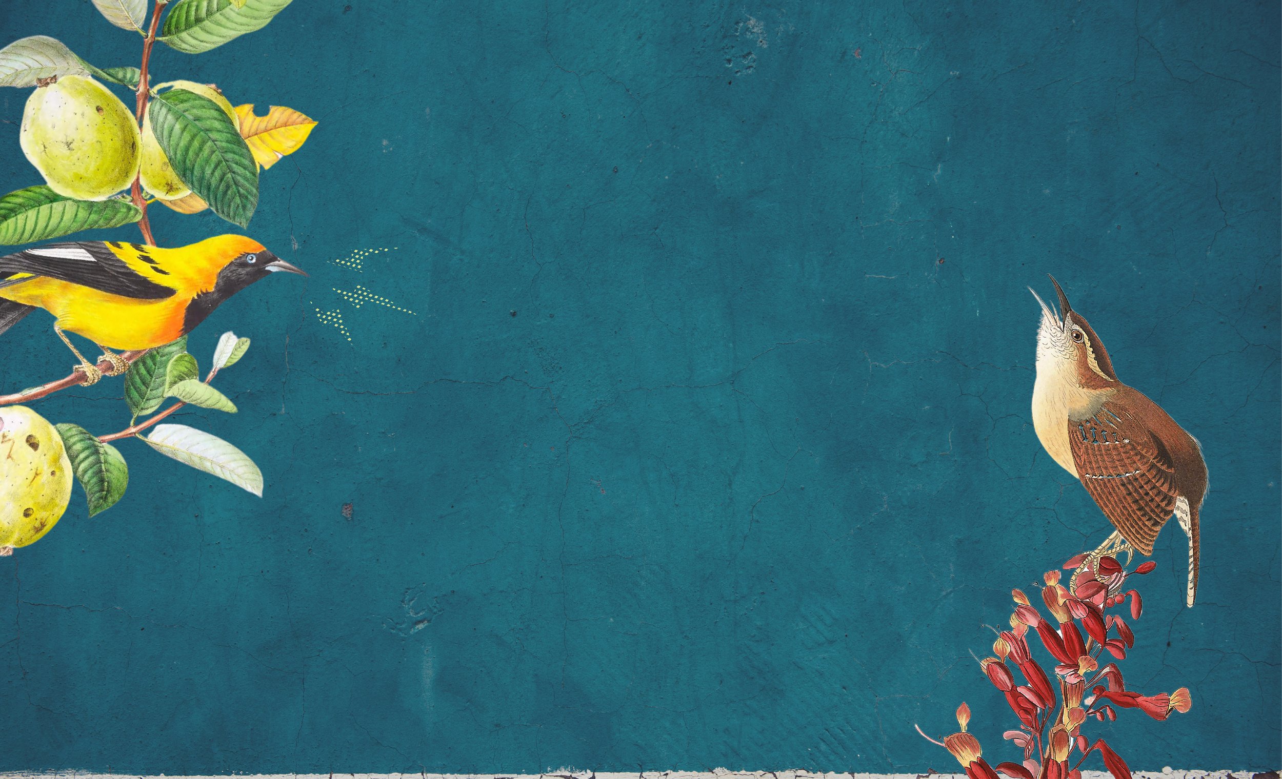 FaR-website-header-v3.jpg