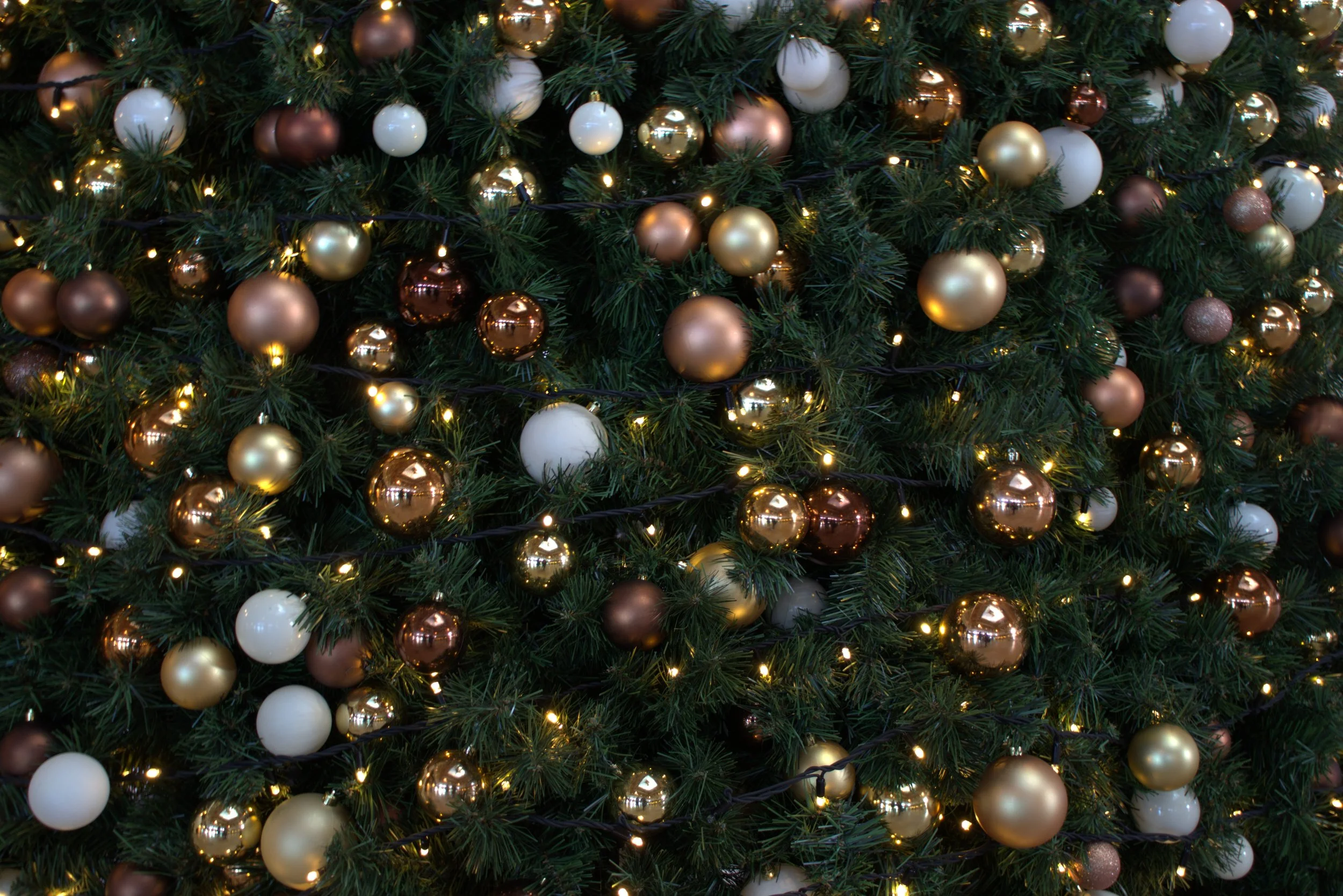 Canton Hometown Market