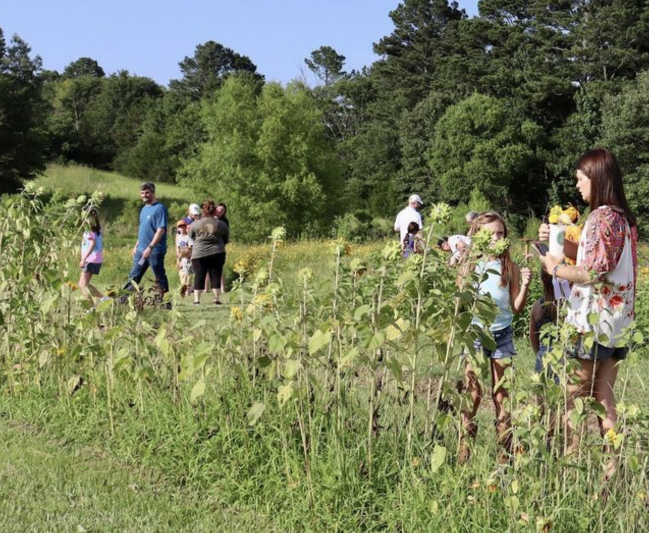 11 Mississippi Adventures You Can Enjoy For Under $20 Even In 2026