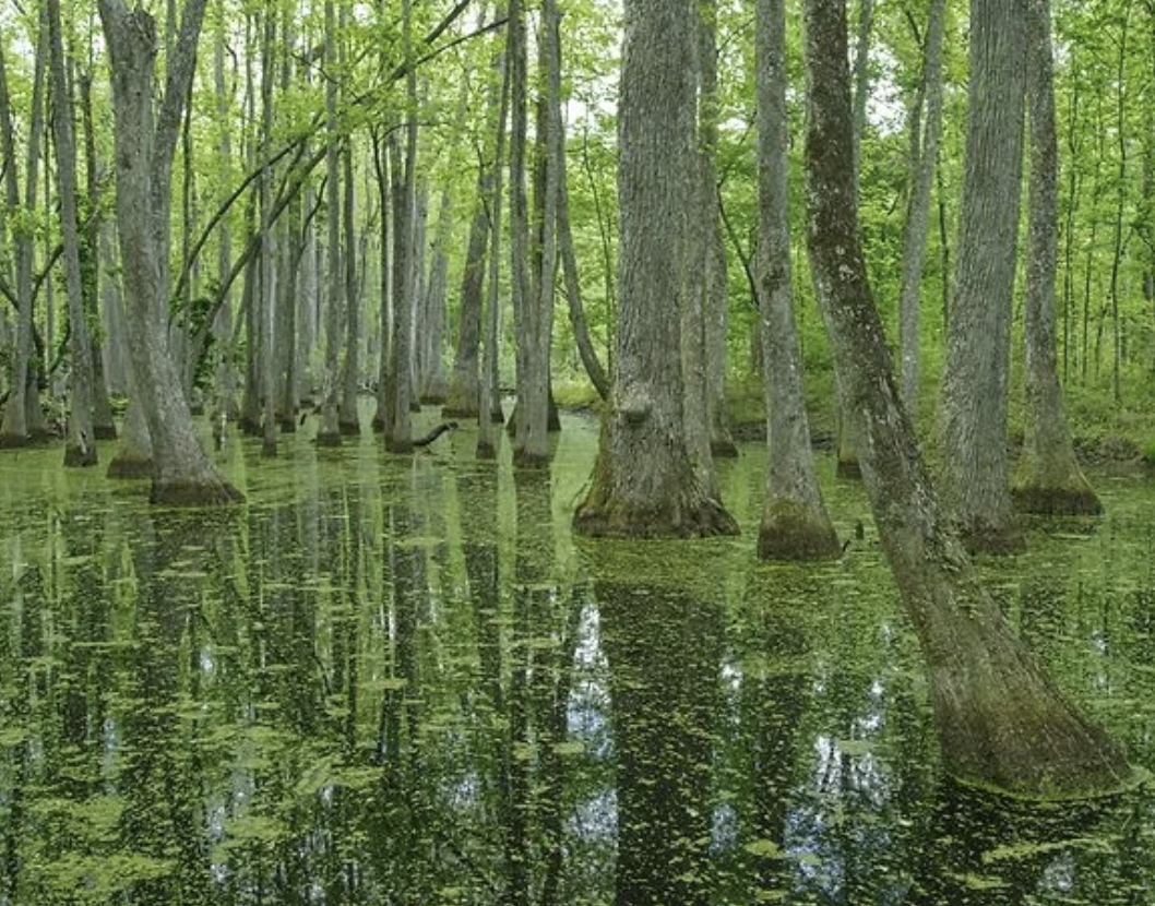 The Most Scenic Nature Getaways in Every State