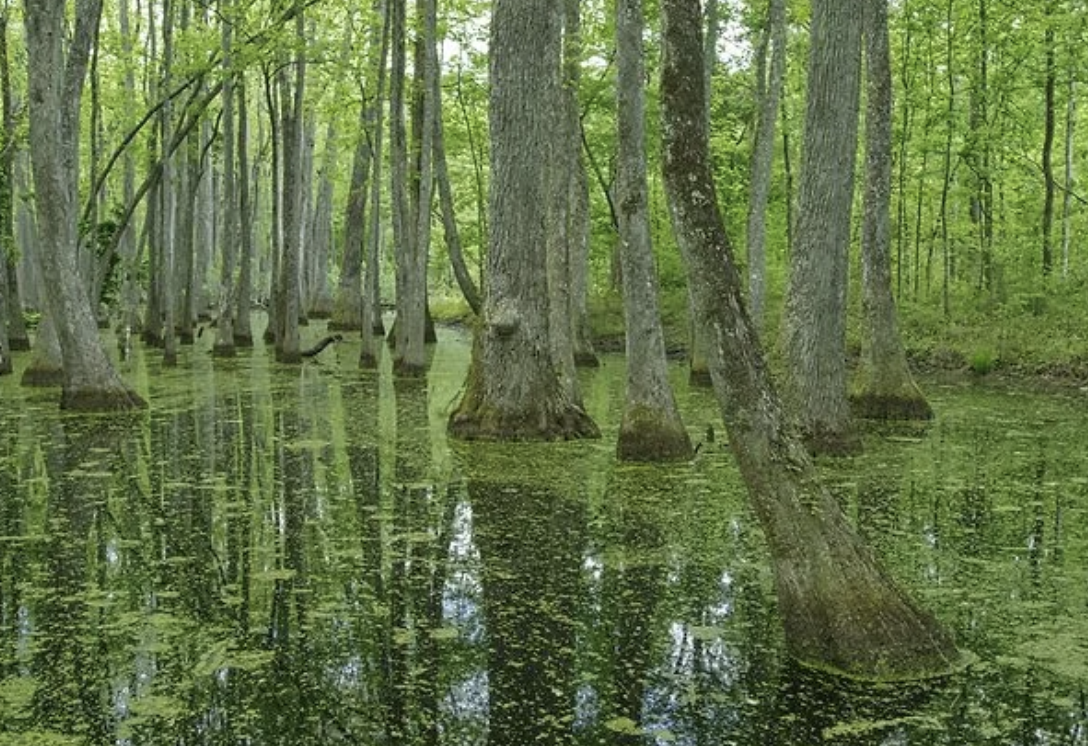 The Most Scenic Nature Getaways in Every State