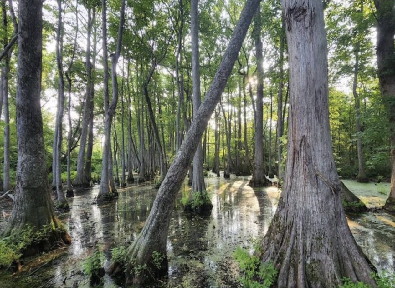 11 Mississippi Getaways And Destinations You Can Do In A Day Without The Stress In 2026