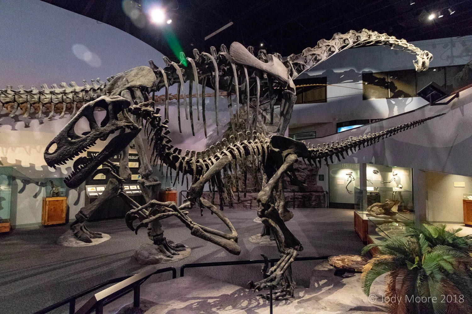 Utahraptor at the Museum of Ancient Life in Lehi, UT.