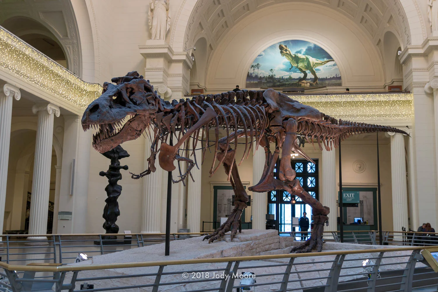 In a scene that probably won’t ever be repeated, FMNH PR-2081, better known as “Sue” basks in the holiday lighting in the Great Hall at the Field Museum of Natural History in Chicago, back in December of 2016. On Dec. 21 of this year, Sue got their own new accommodations, along with a major update to the presentation, reflecting the things that have been learned since the specimen first went on display nearly 20 years ago.