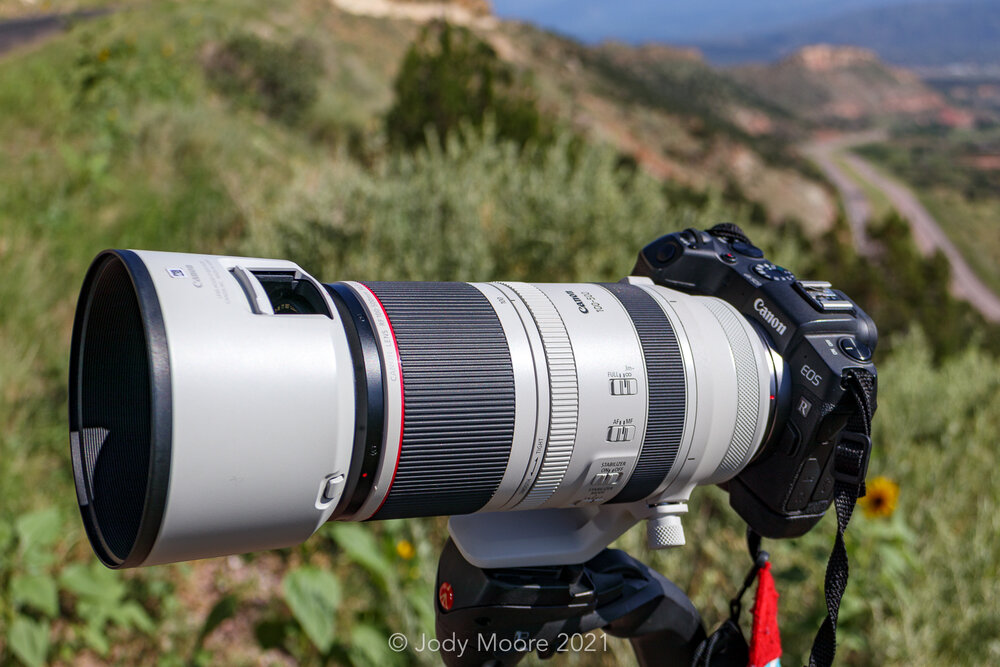 Pak om te zetten zuurstof vegetarisch Reviews: Canon's RF 100-500 f/4.5-7.1L IS USM Telephoto Zoom Lens — T.rex  Road Trip