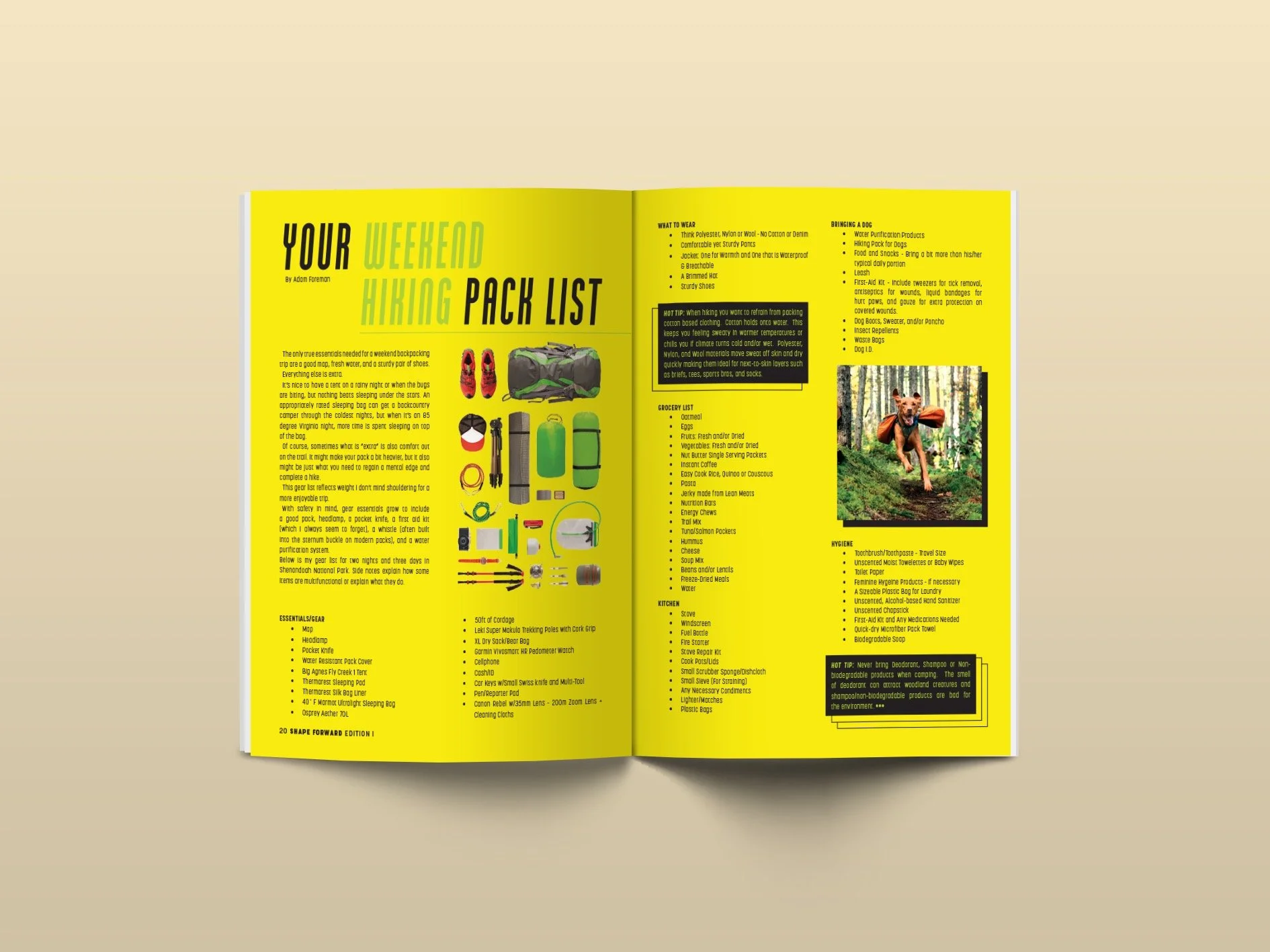 A_ShapeForward_2020_20 21.jpeg