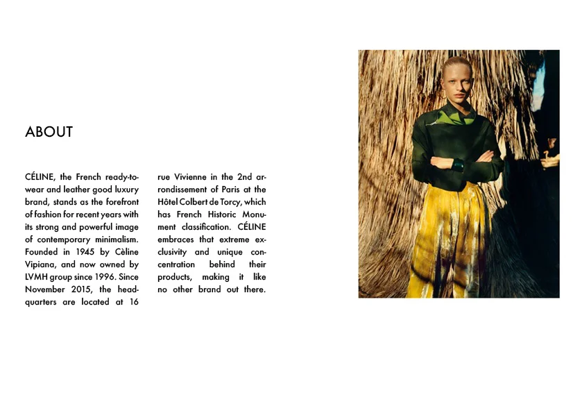 CELINE2.jpg