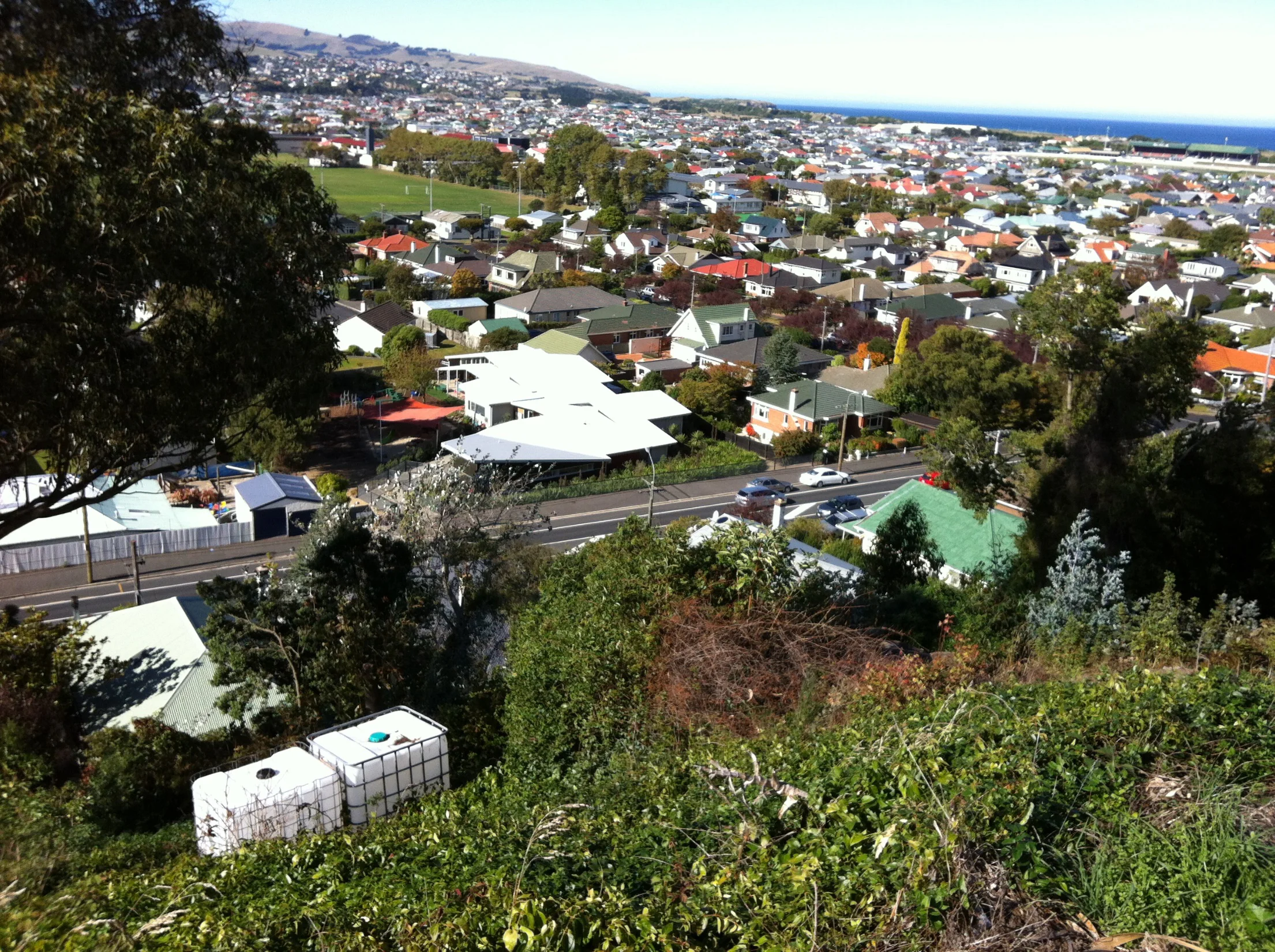 Figure 1: Urban development on the south Dunedin flatlands, 10 April 2016. Photo: Janet Stephenson