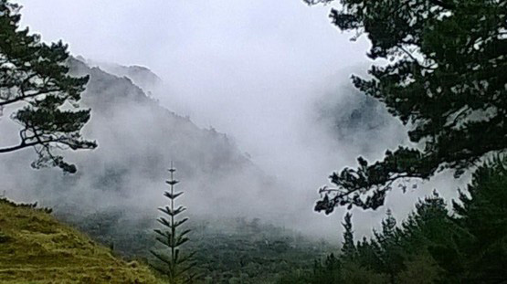Photo: Mountain range in Hokianga, Northland (photo by Te Kerekere Roycroft)