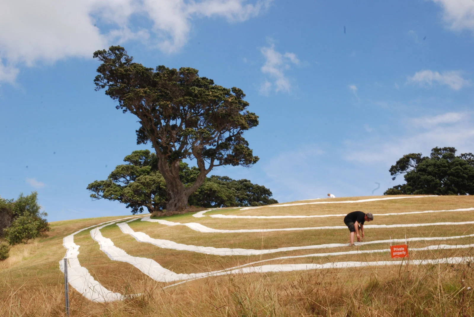 Who's benefit this land? NZ as private property on Waiheke Island Sculpture Trail. The epitome of NZ tourism: landscape, wine and culture.