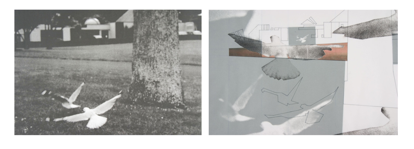 Griffiths, C.P, Bird Variations, from Reframing the Given, Landscape Analysis Techniques, VDM Verlag Dr. Muller, 2008, p.31