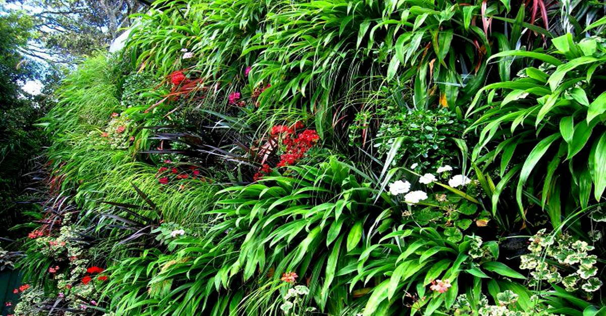 Vertical Garden