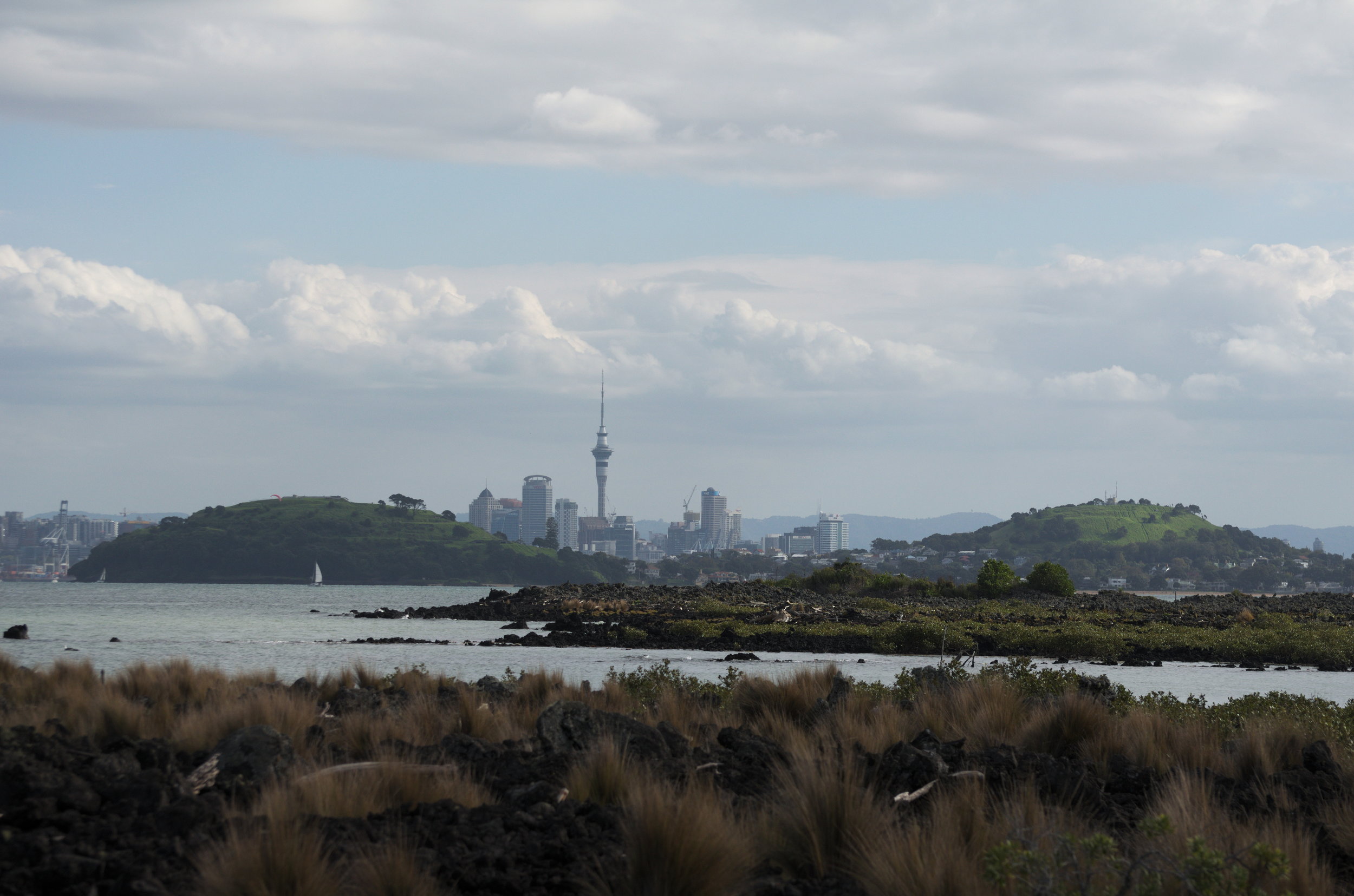 Rangitoto Island