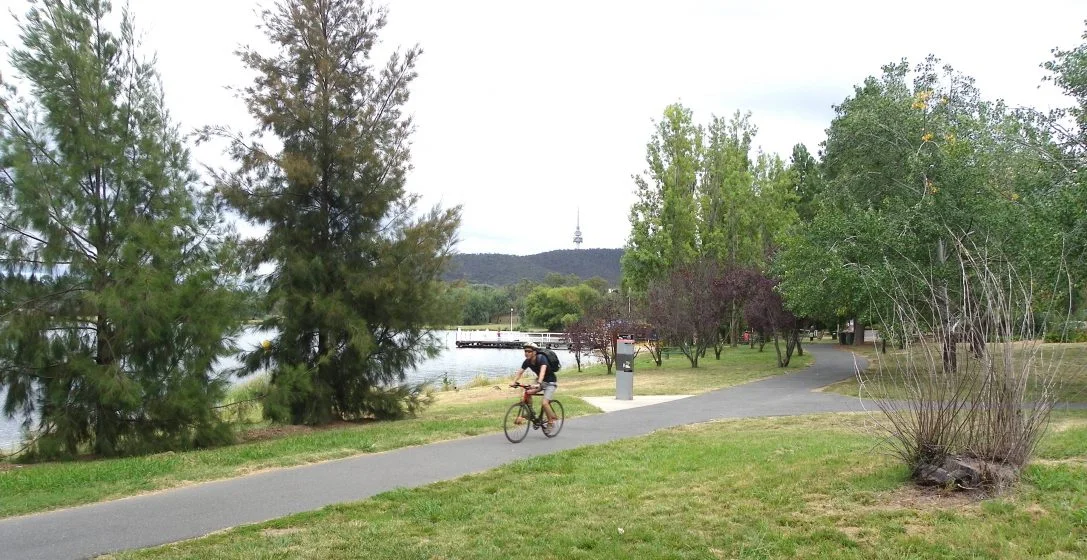 A cyclist enjoys the informal park alongside West Basin, adjoining Lake Burley Griffin (Canberra, Australia). This public space has been targeted for high-rise unit development. The proposal will involve the infilling of the lake for 45 metres beyond the end of the jetty shown in the image. Photo: Juliet Ramsay