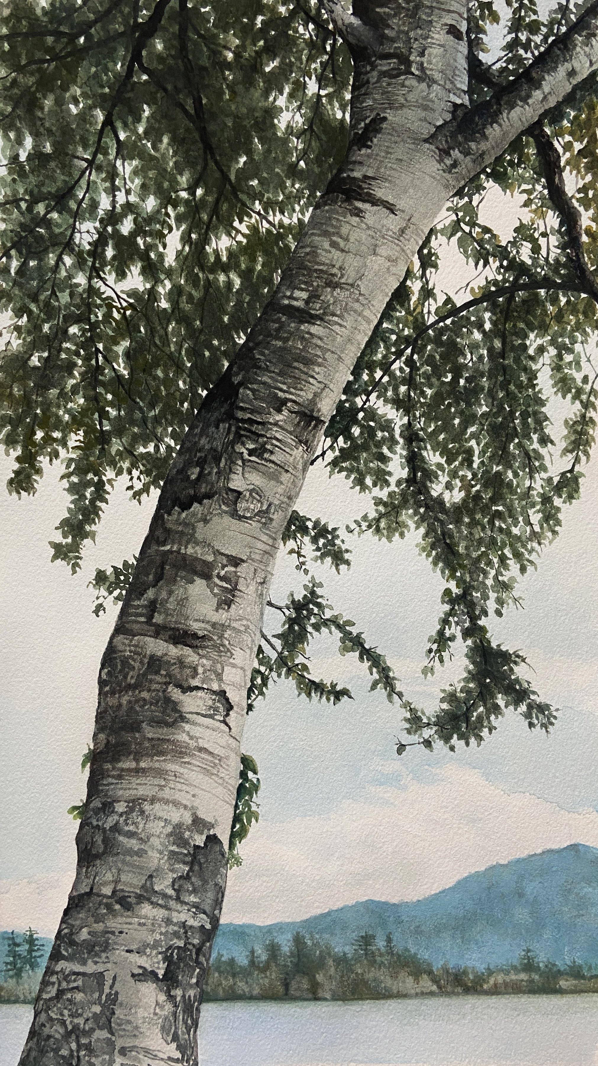 Sacandaga, Gouache on Paper