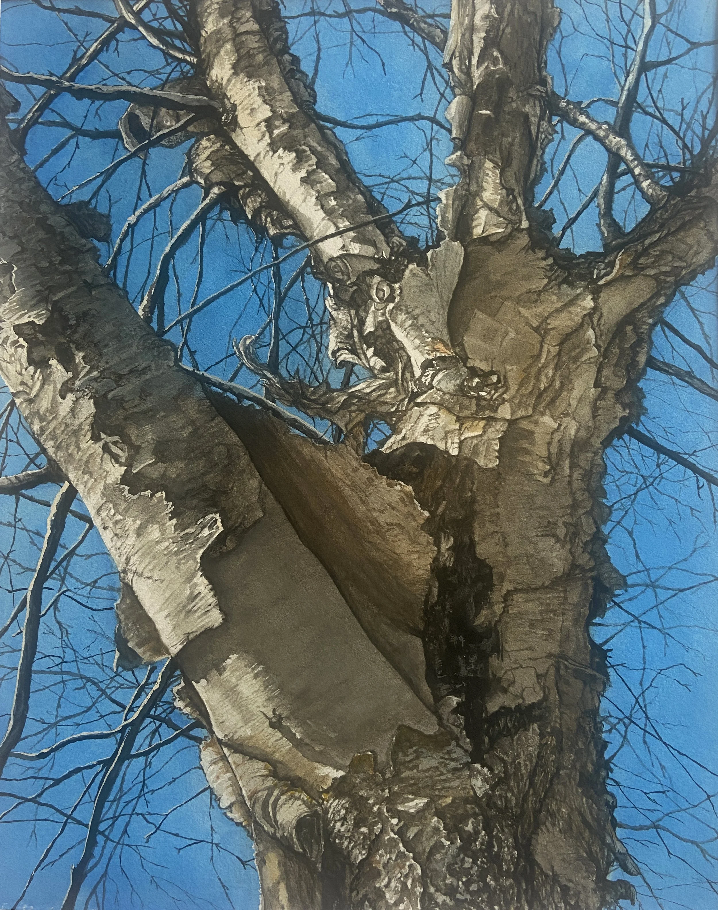 Winter Sun, Gouache on Paper