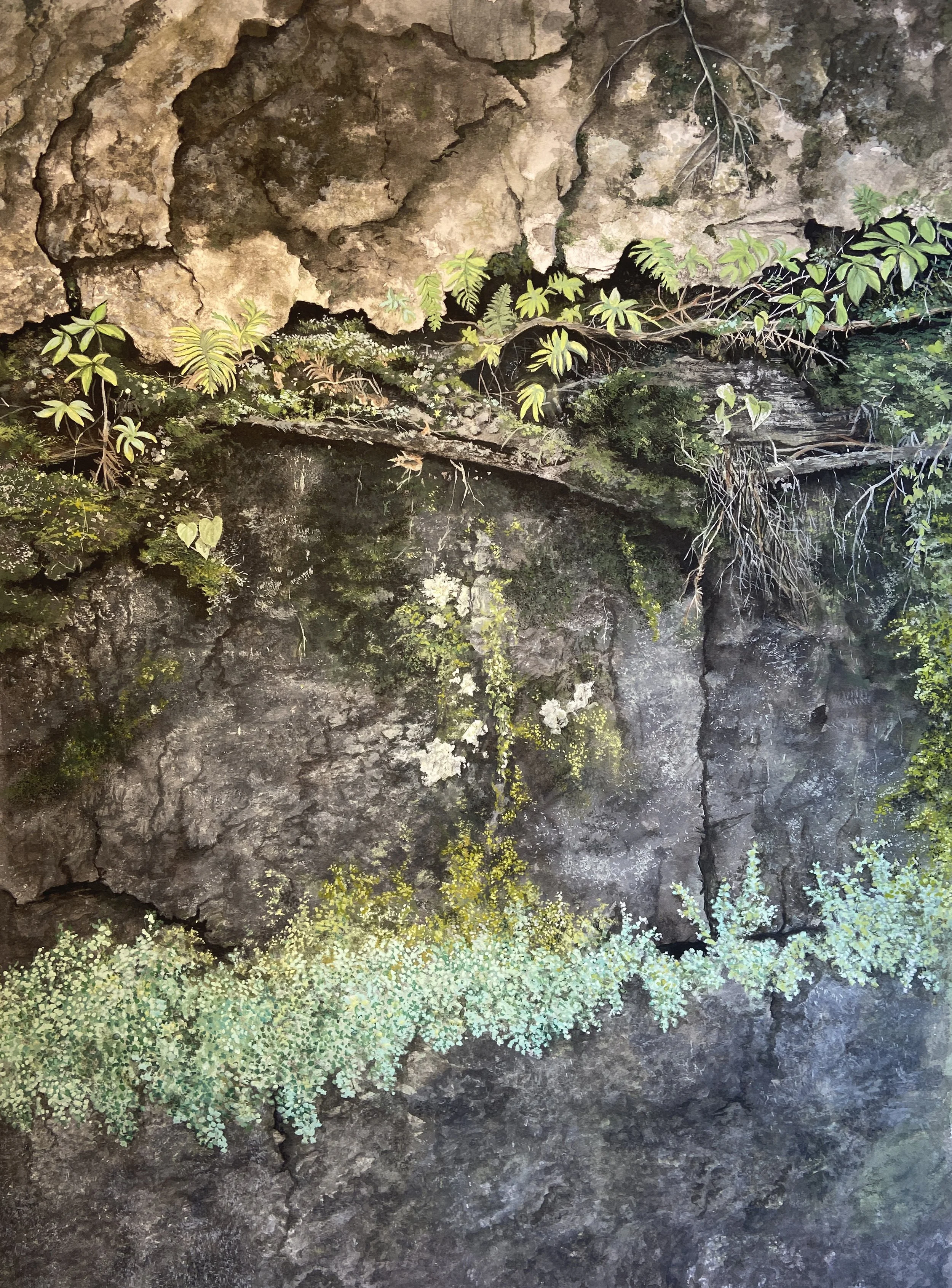 Moss on the Side of the Cliff, Gouache on Paper