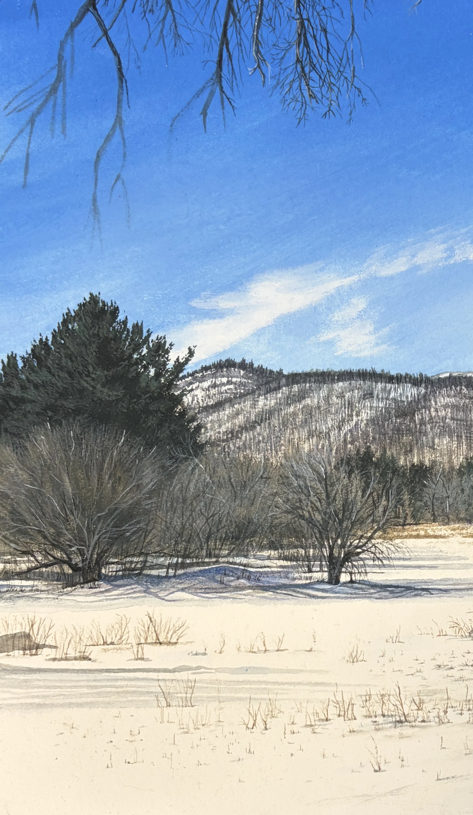 Adirondack Winter, Gouache on Paper