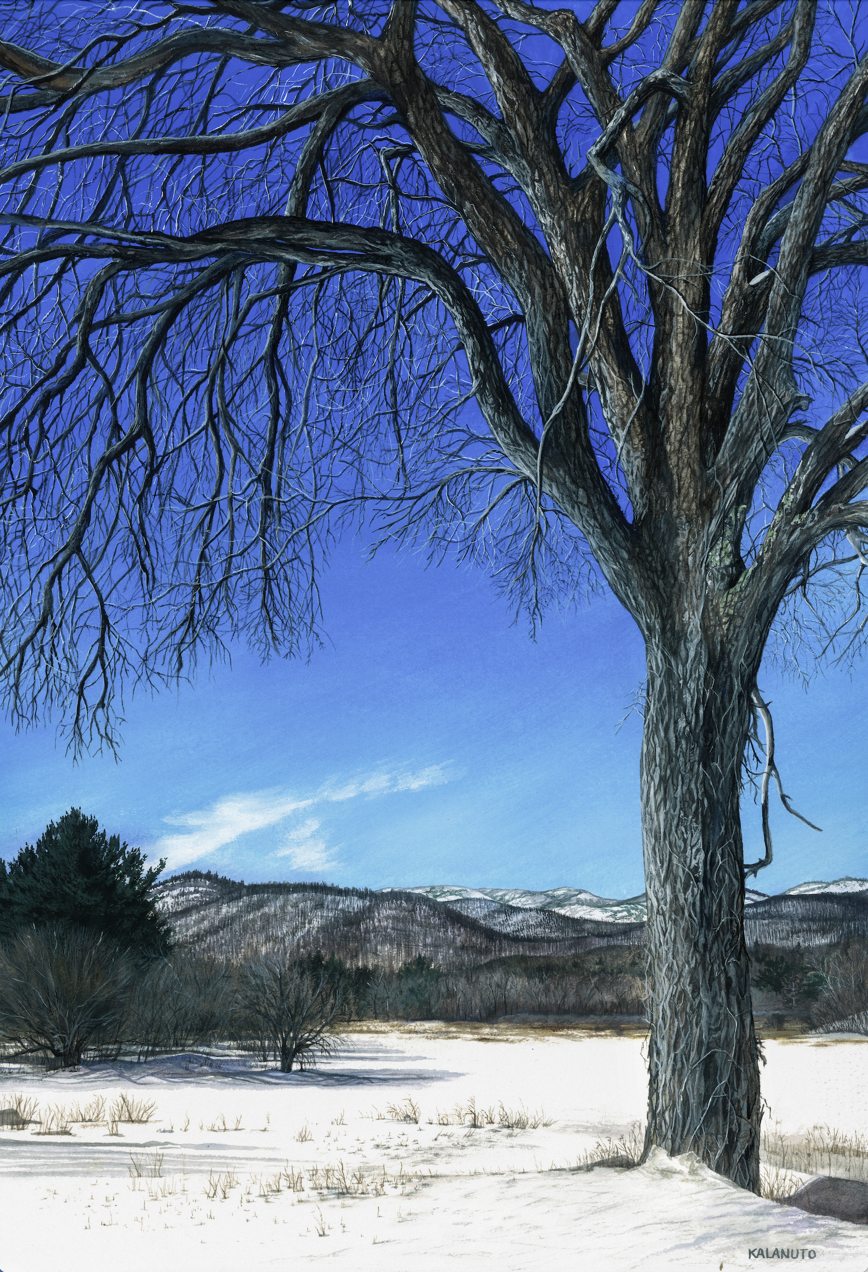 Adirondack Winter, Gouache on Paper