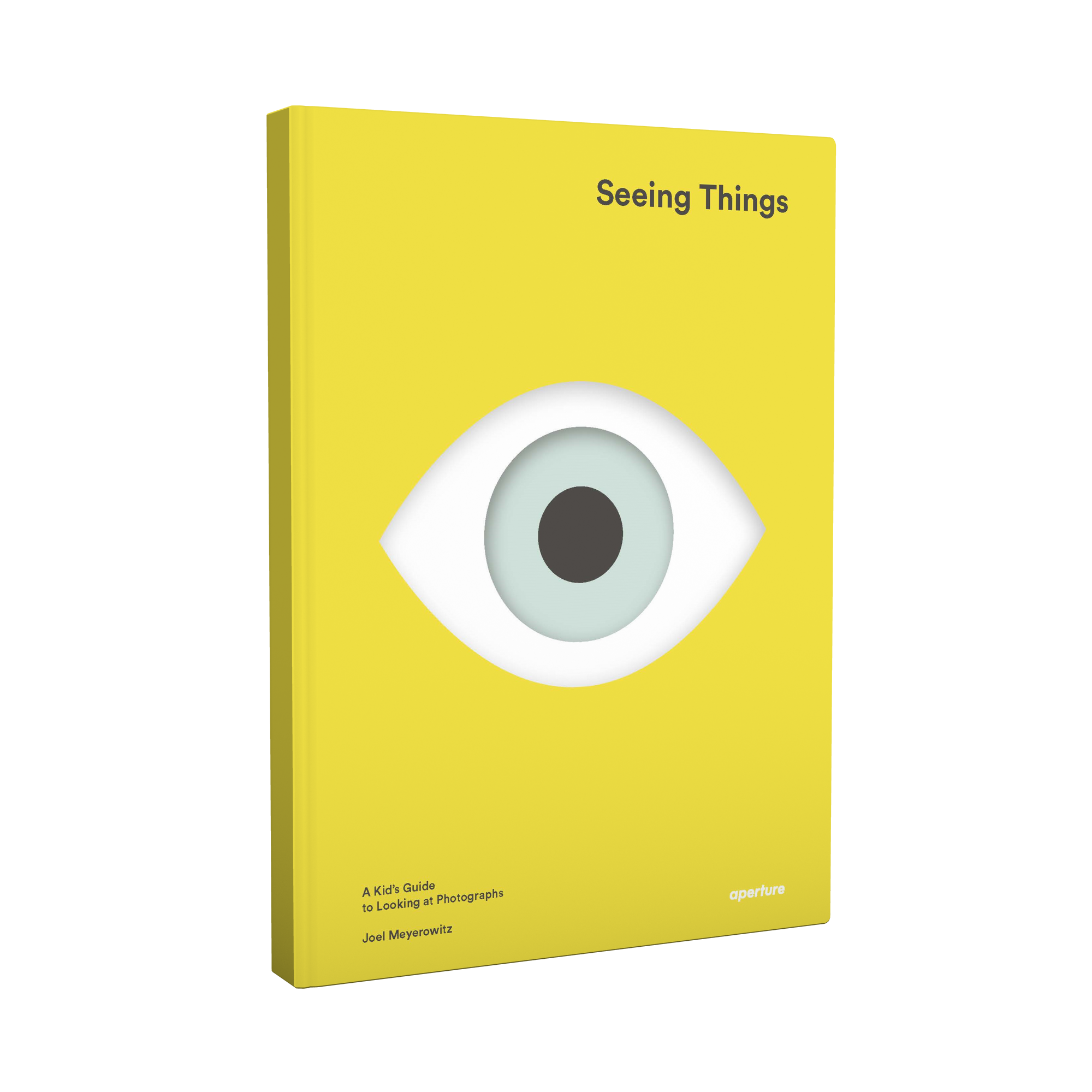 SeeingThings_cover_render.png