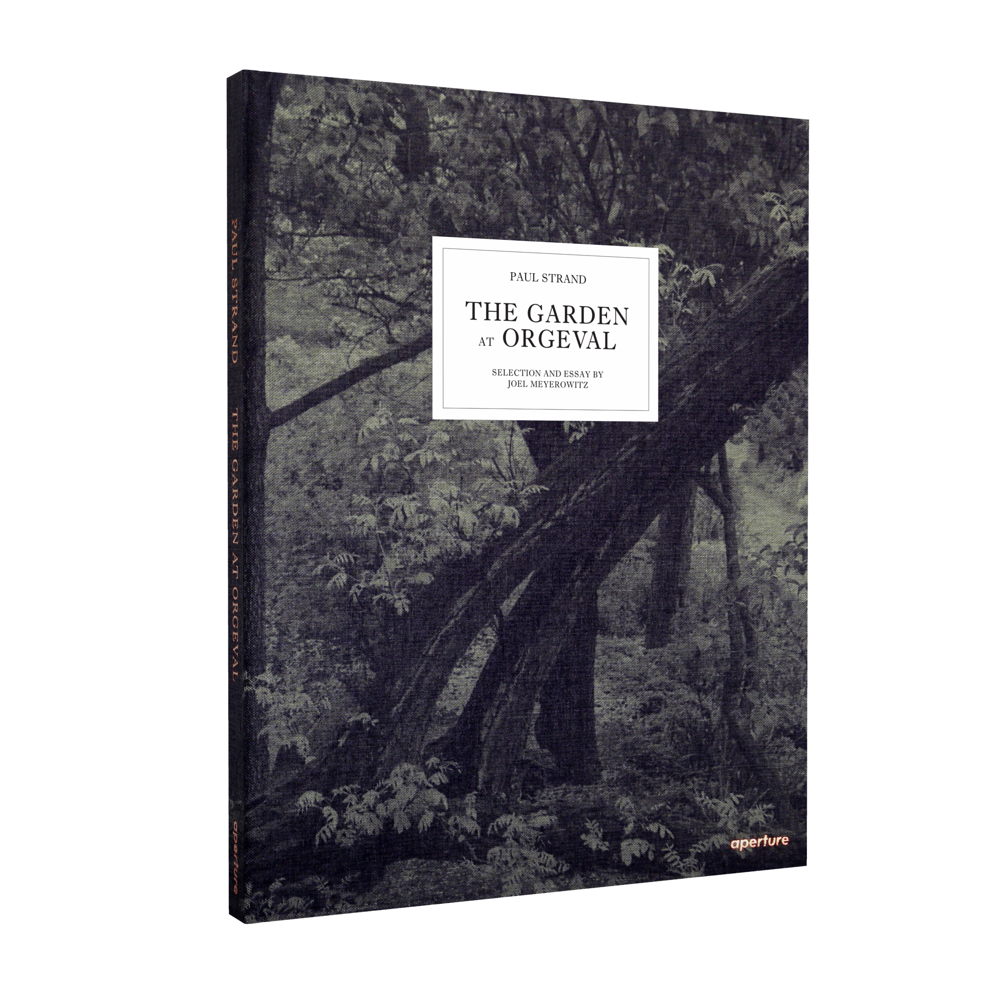 ORGEVAL_render_cover.png