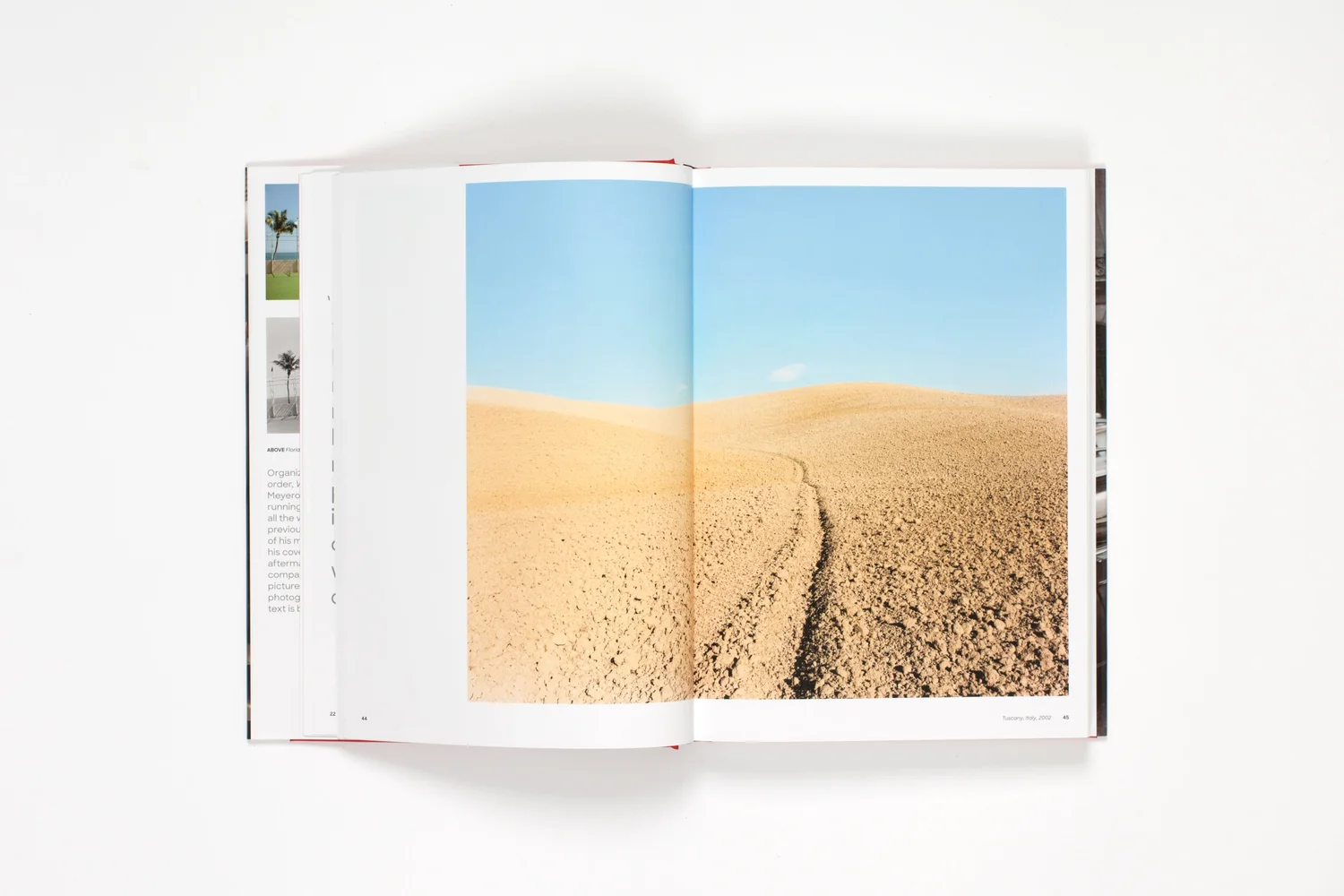 Where I Find Myself — Joel Meyerowitz