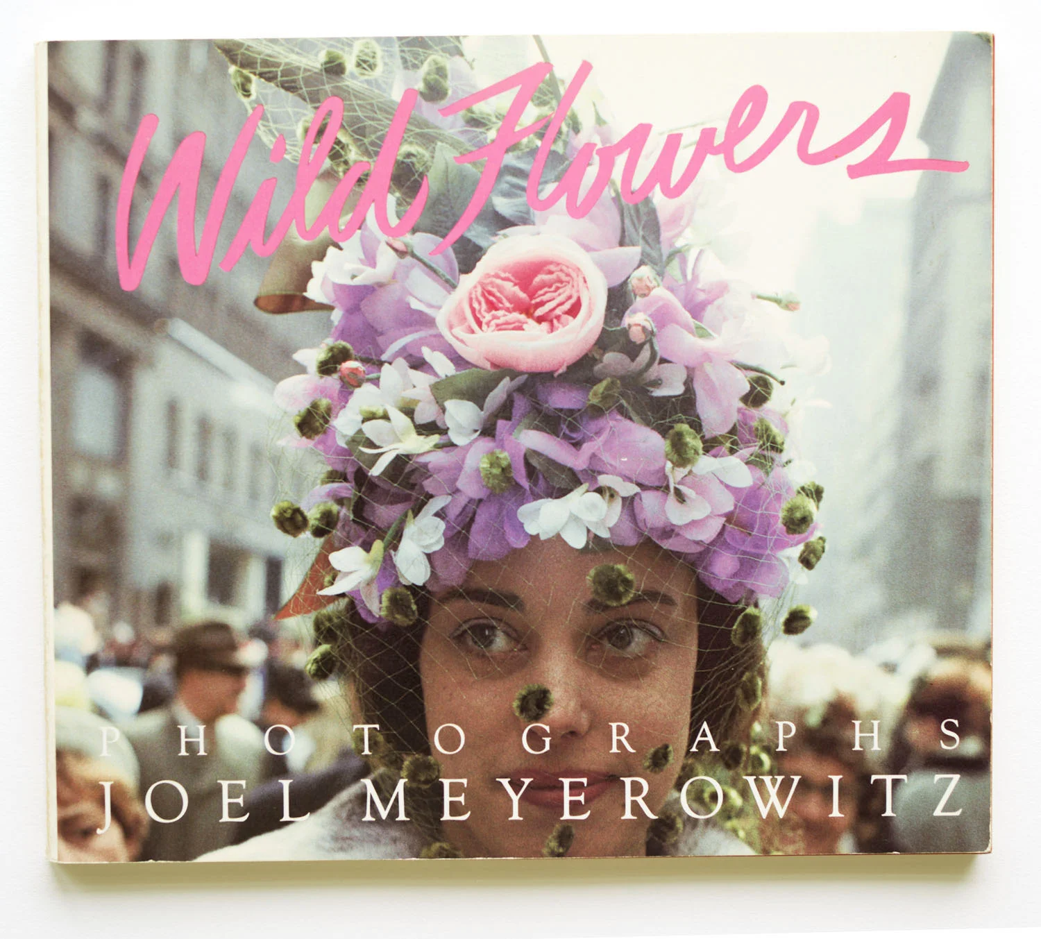 Wild Flowers — Joel Meyerowitz
