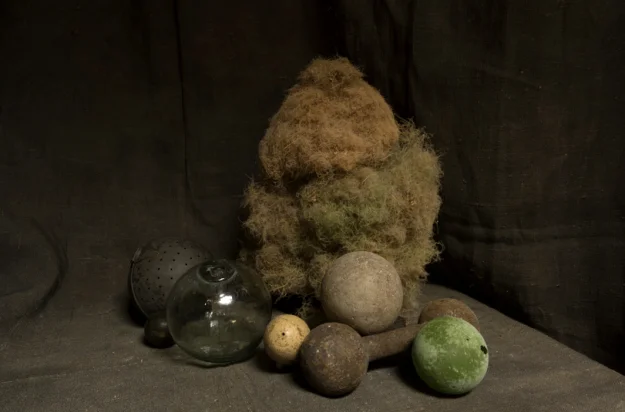 10-10-still-life-l1003362.jpg