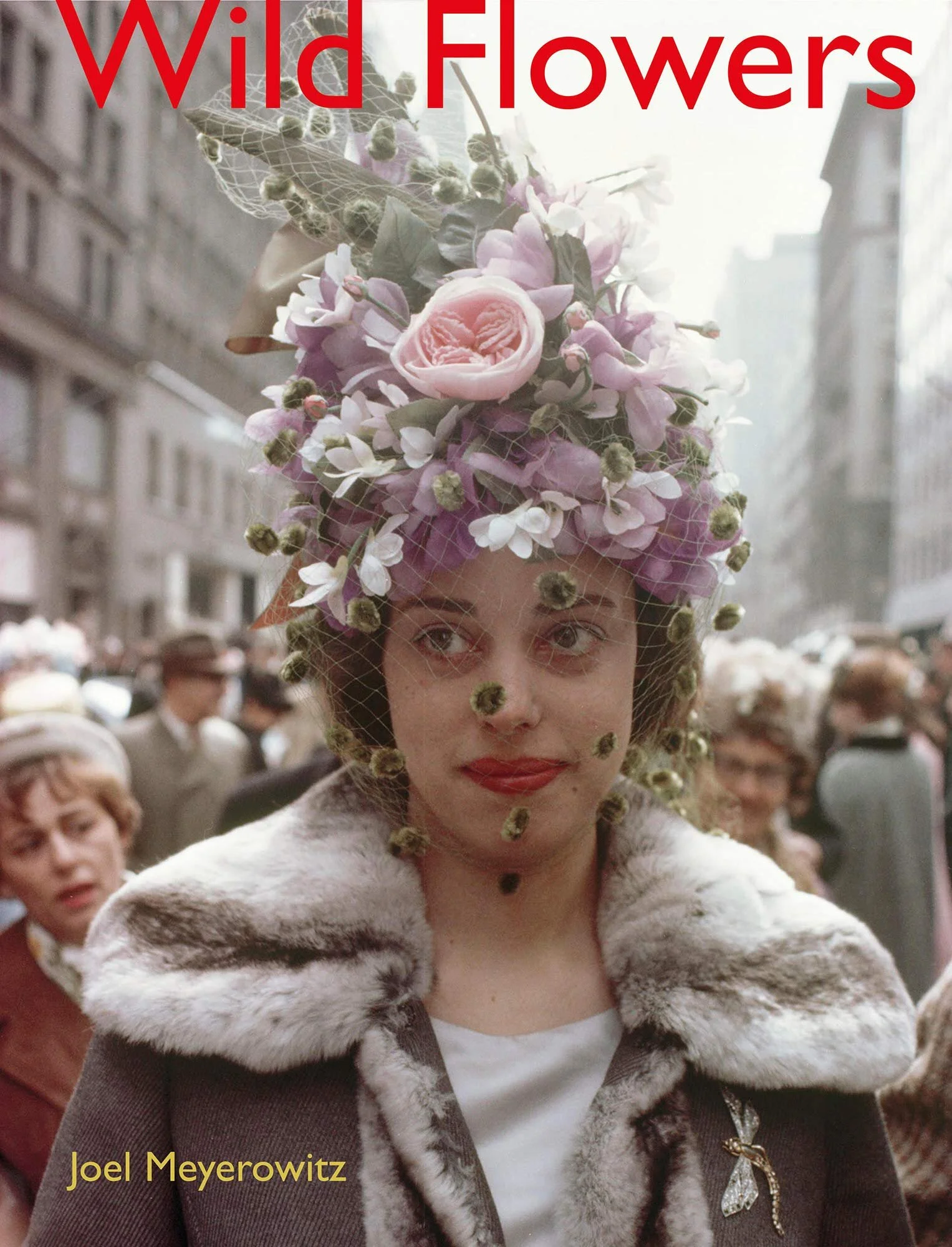 Wild flowers front cover.jpg