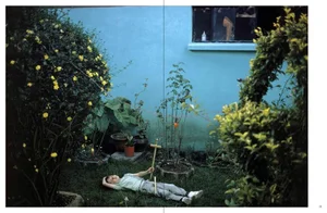 Wild Flowers - 2021 Edition — Joel Meyerowitz