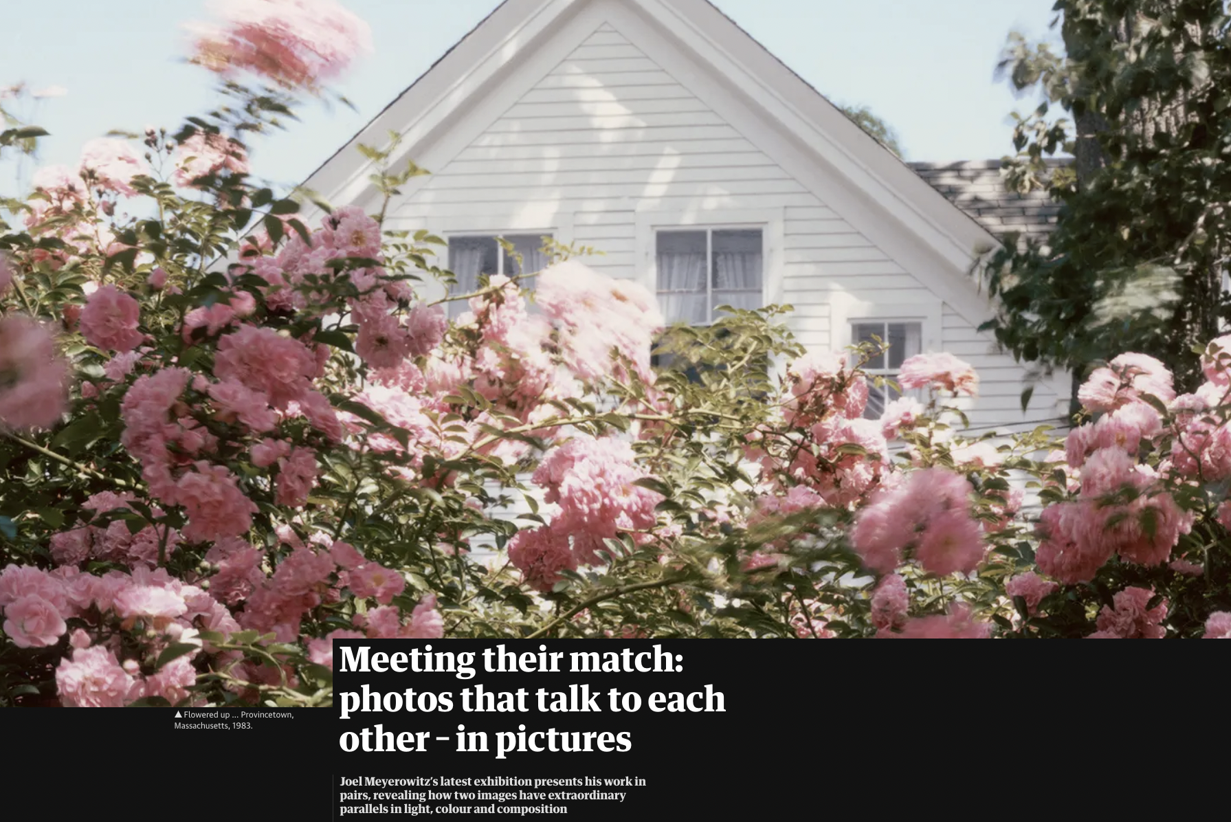 Meeting their match: photos that talk to each other – in pictures