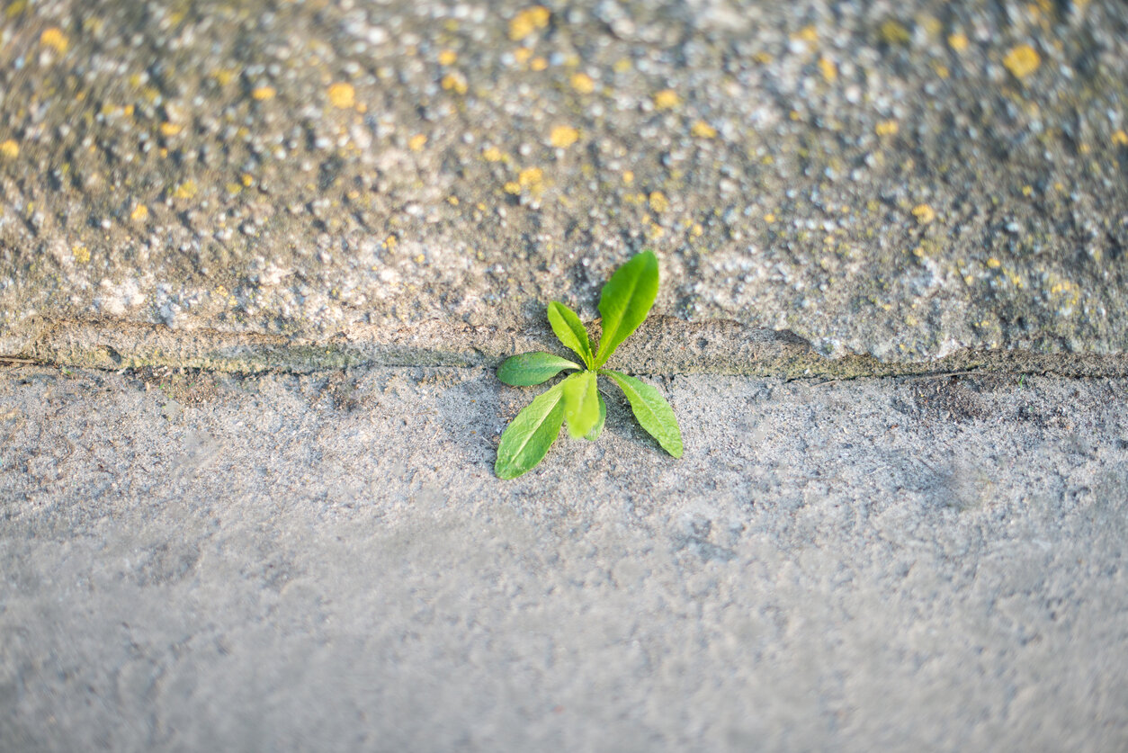 Build a Resilient Team! 4 Tips for Weathering Uncertain Times