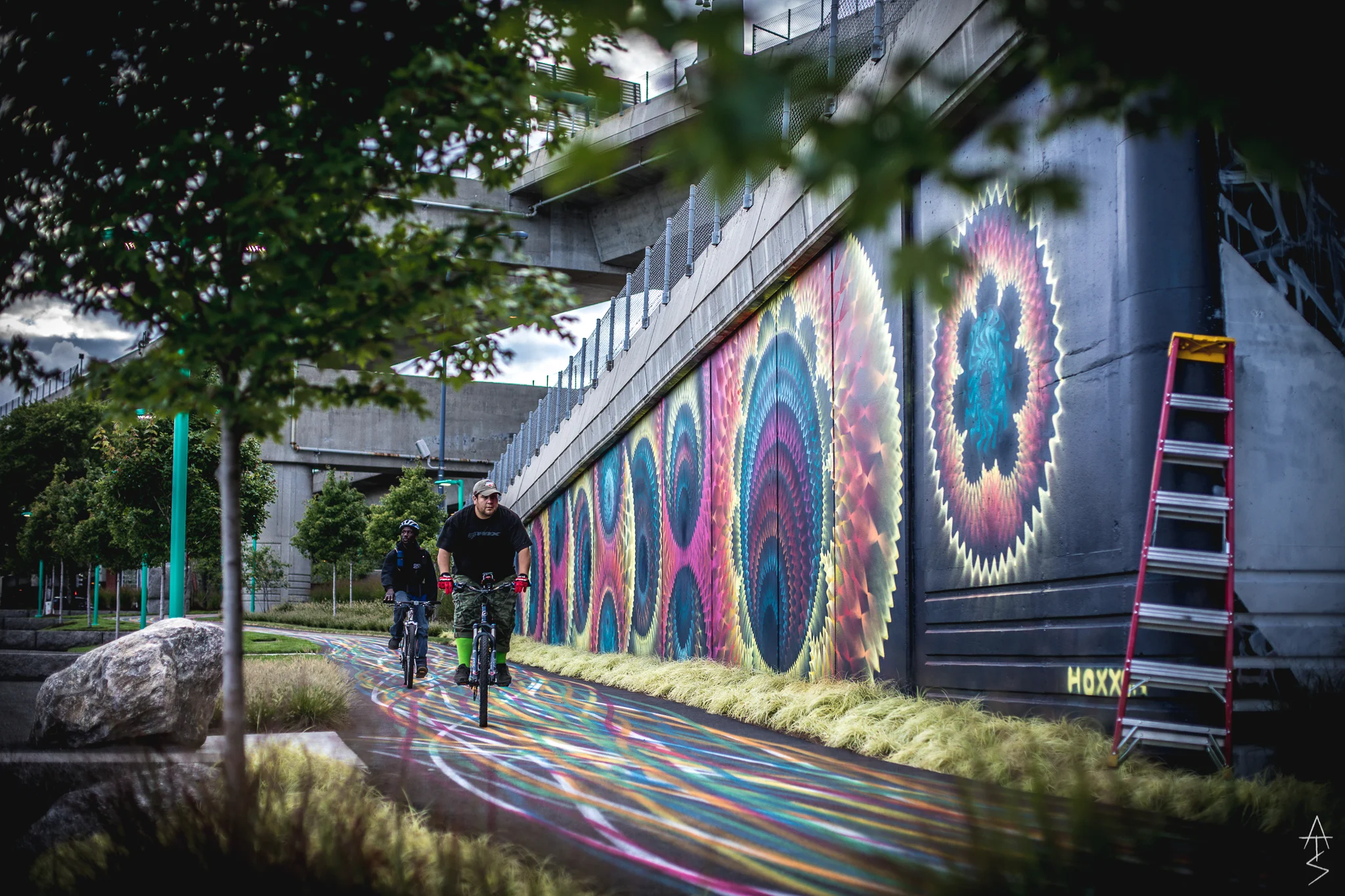 Copy of bikers_hox_adamstraughn.JPG