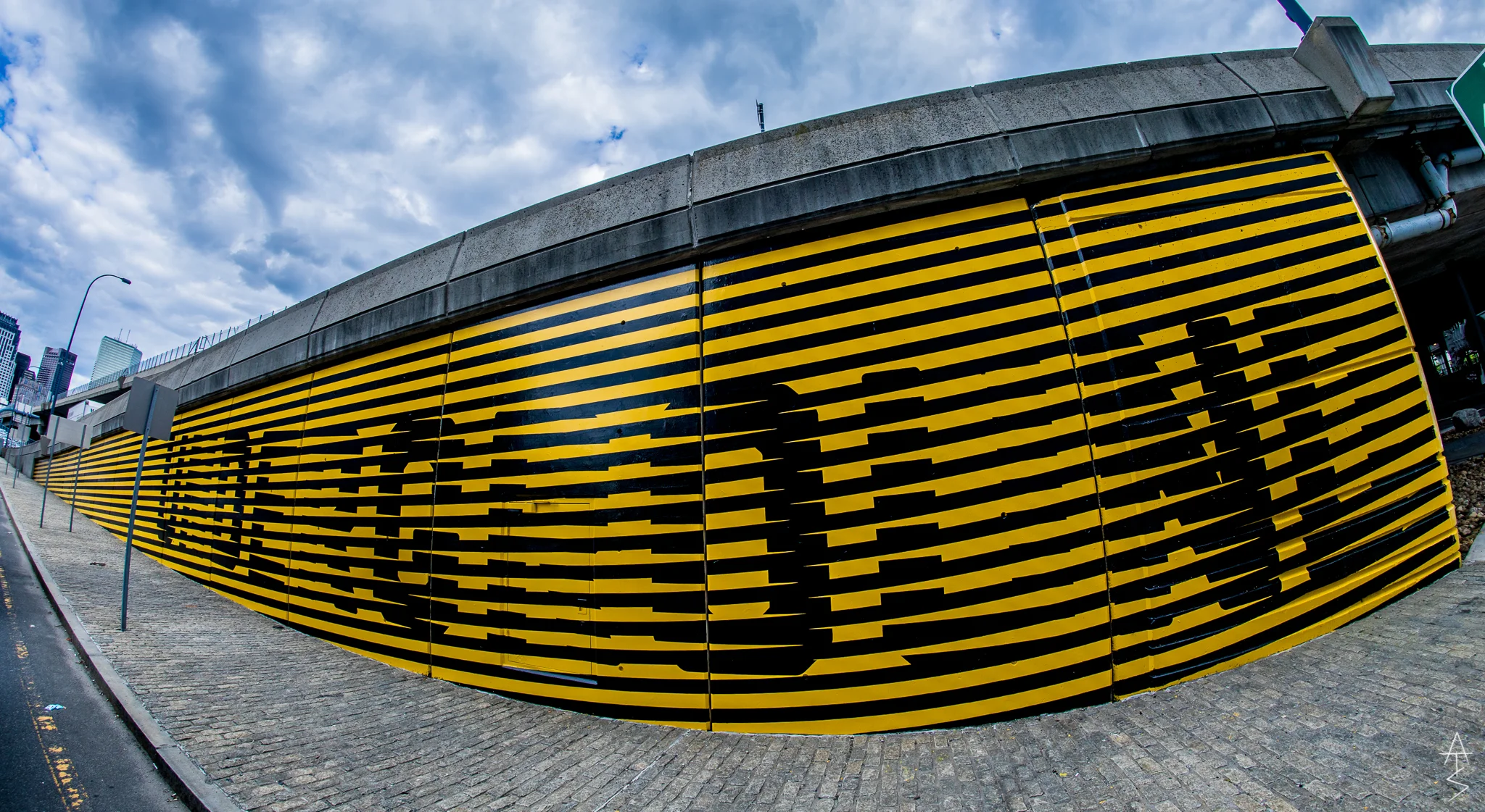 Copy of albanywall_straughn.JPG