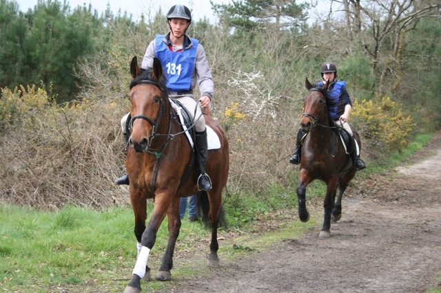 Highpasture Hattie & Beamish Rosemary