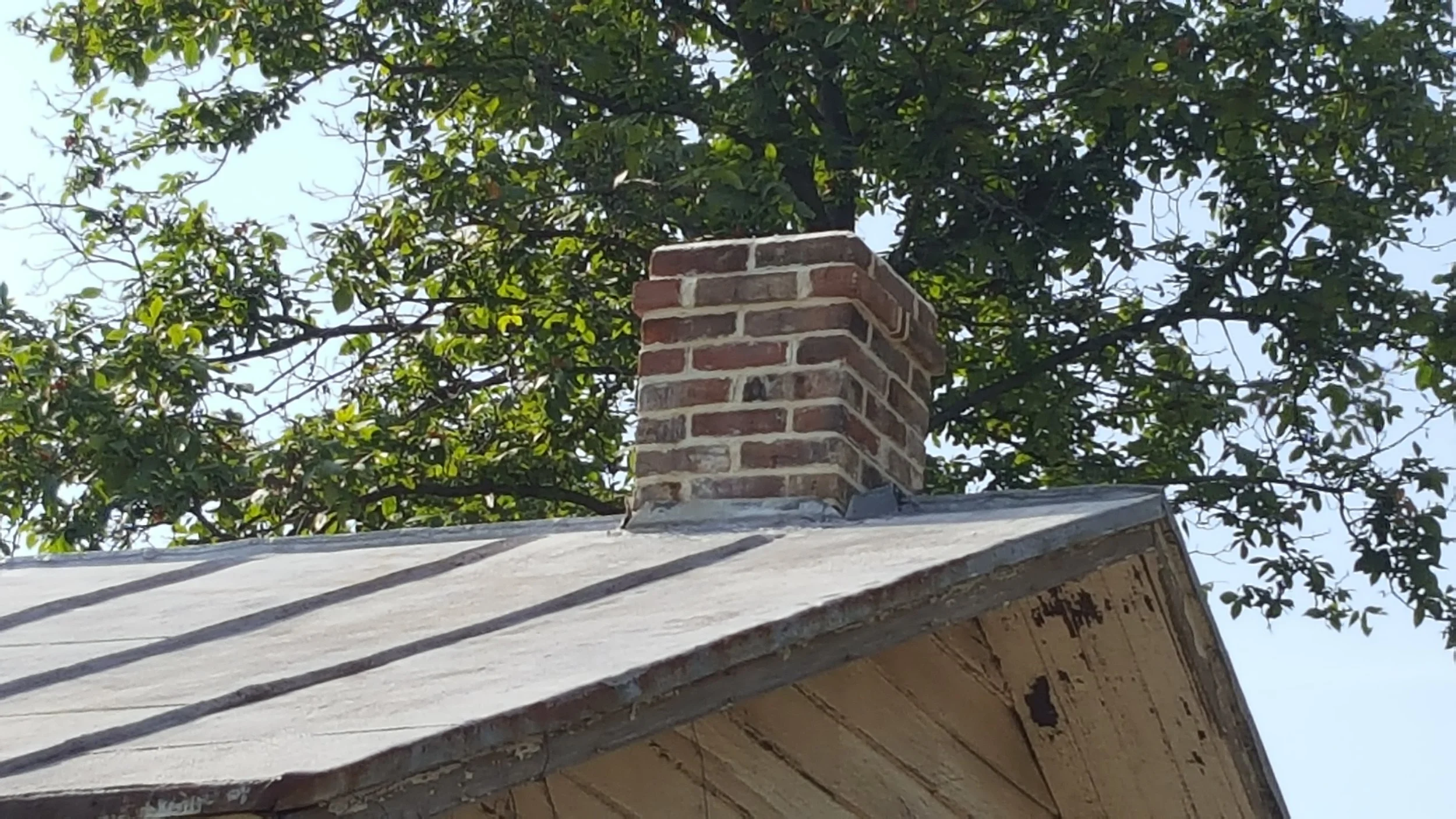 20160627_085850.jpg