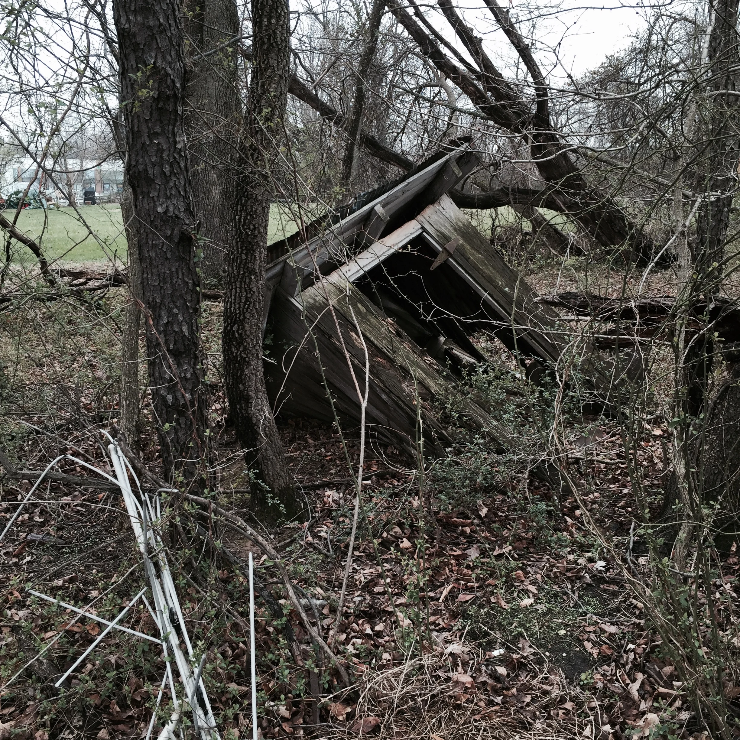 Last known picture of the old outhouse.