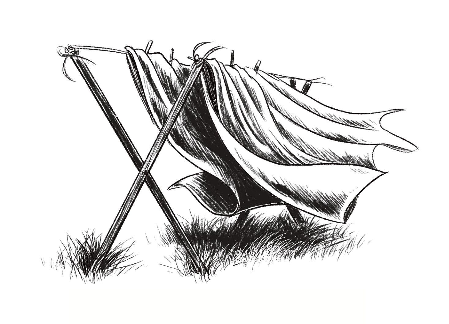 Screenshot 2024-05-06 at 11.08.23 AM.png