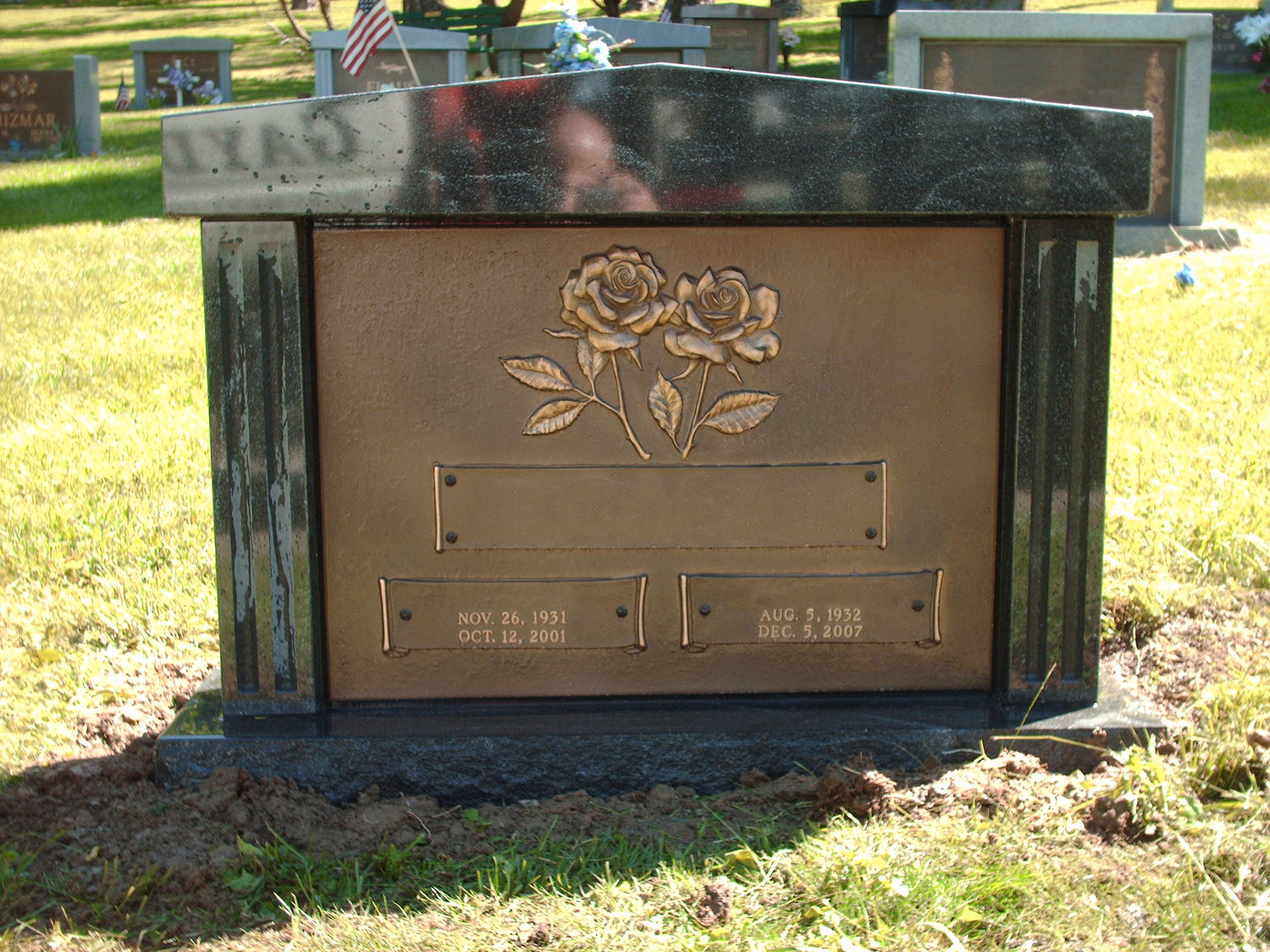 Rooftop Bronze Die